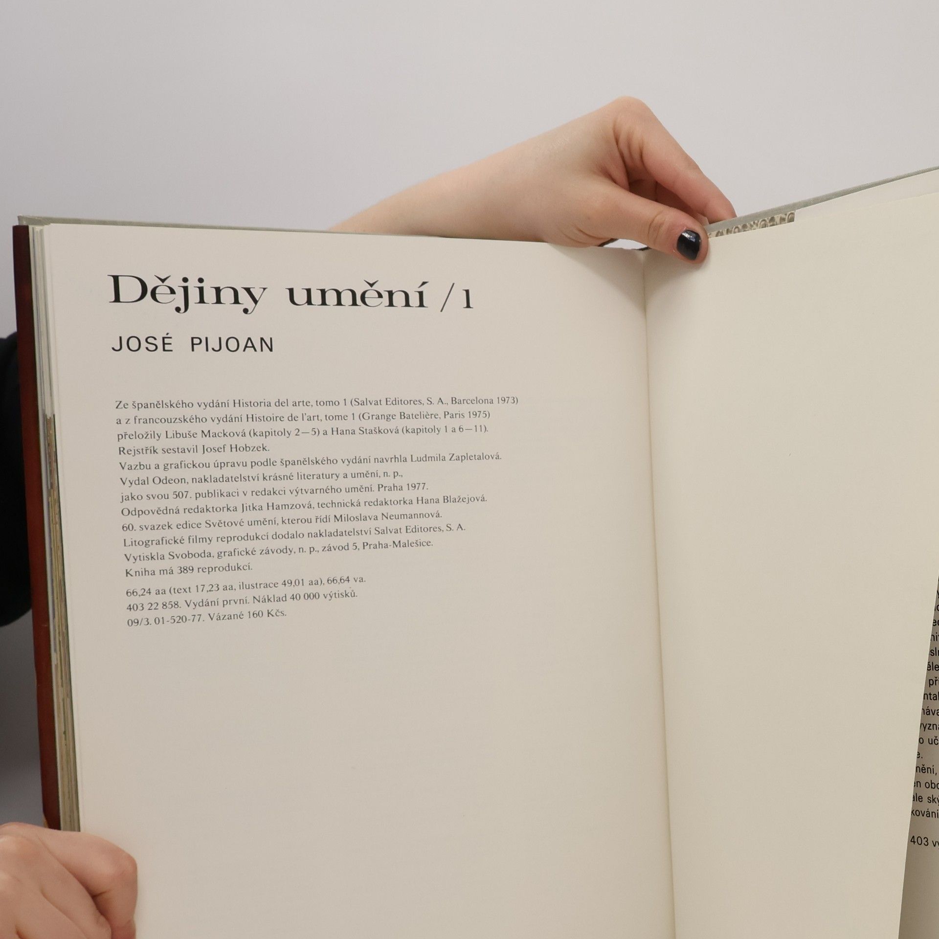 Josep Pijoan Dějiny umění 1