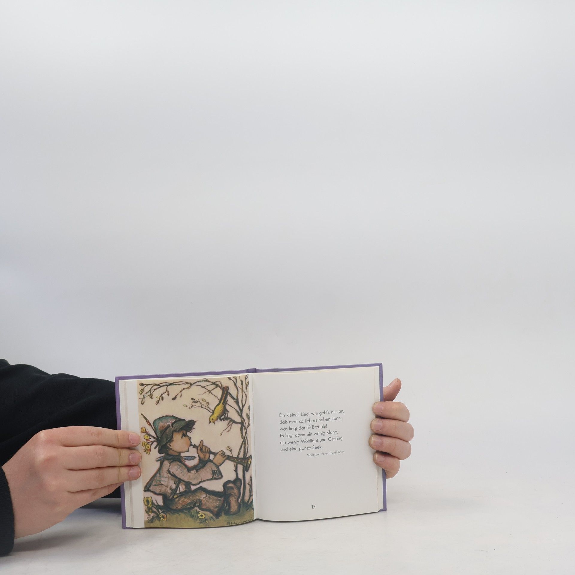 Autorenkollektiv Das kleine Buch zur guten Besserung : mit echten Hummelbildern