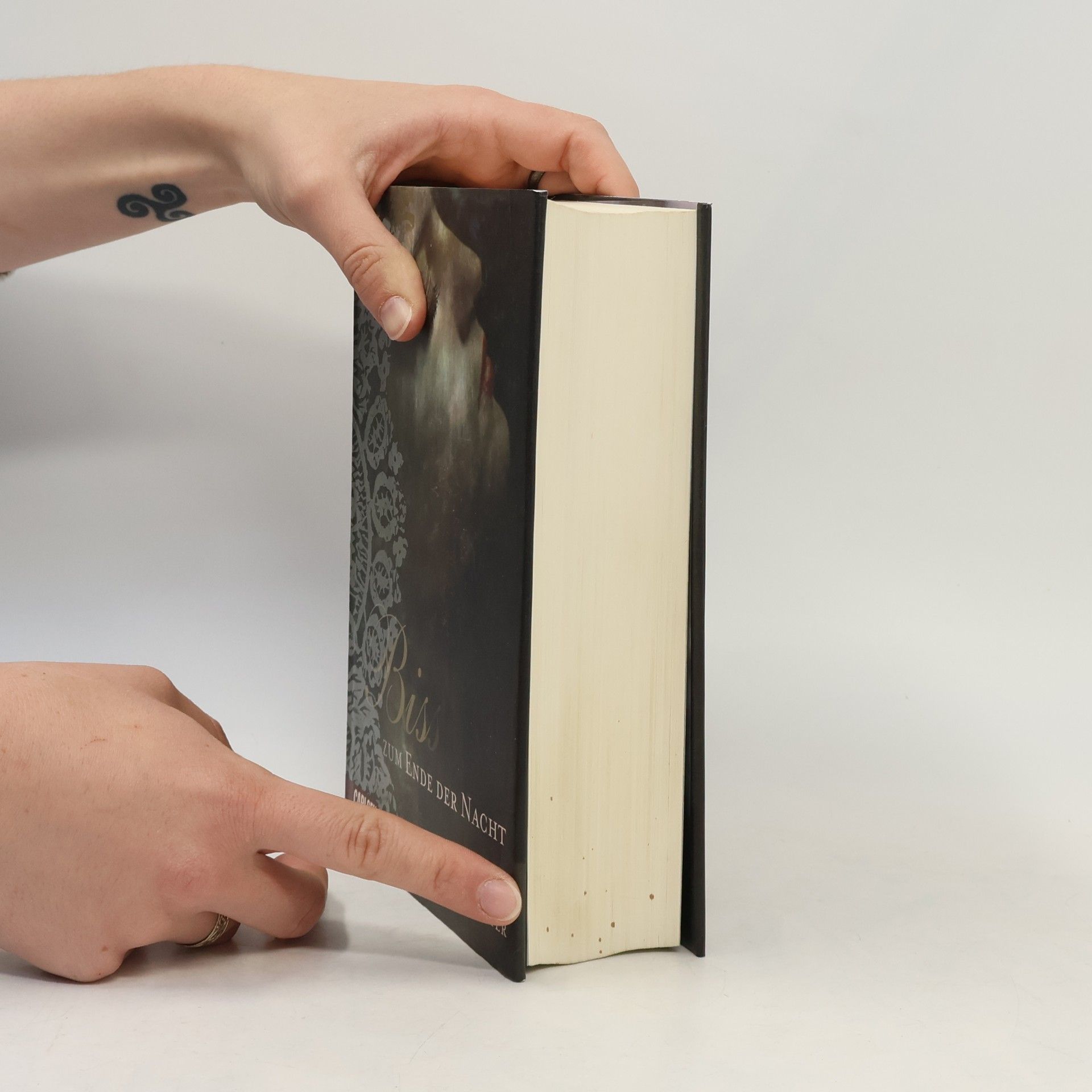 Stephenie Meyer Biss zum Ende der Nacht