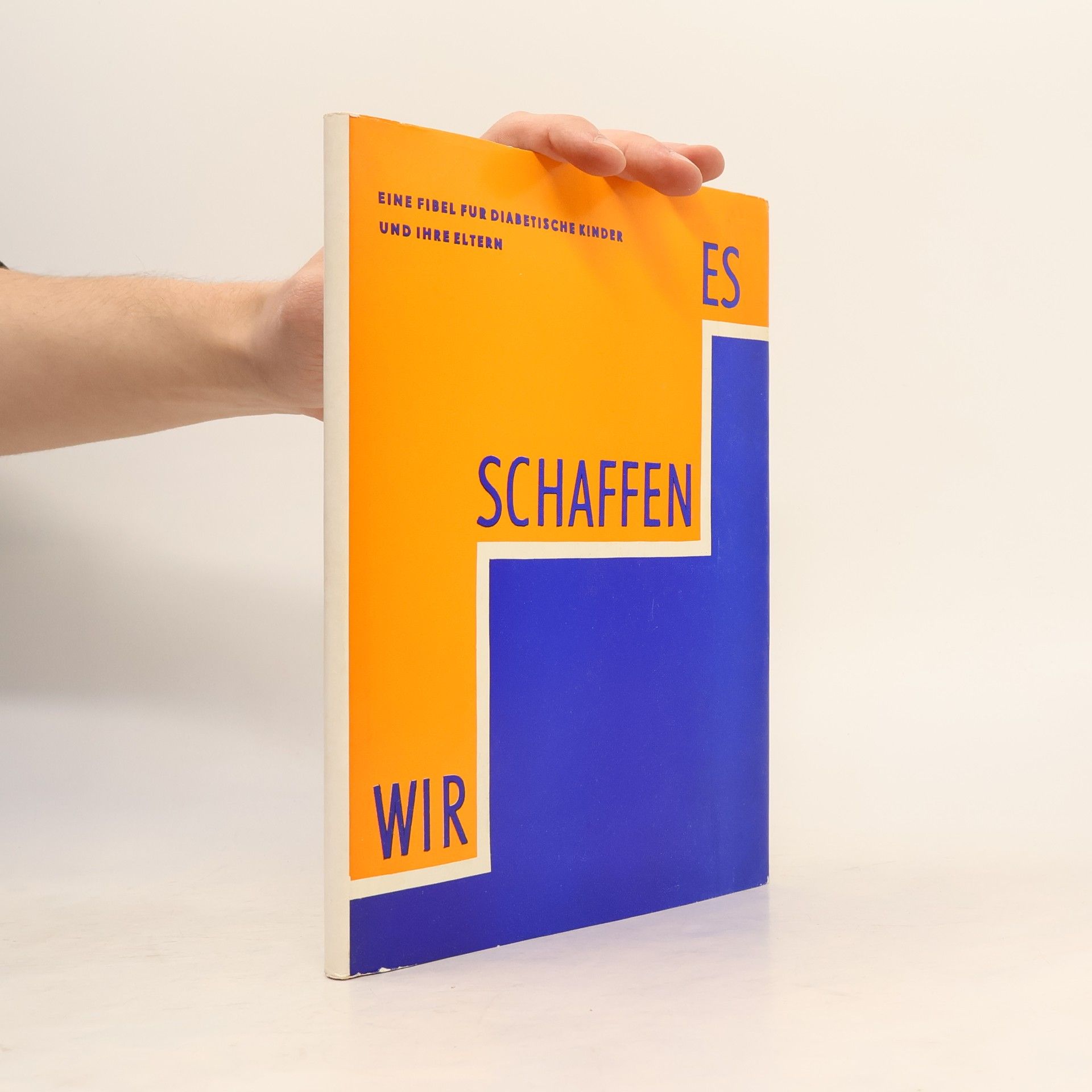 Collectif d'auteurs Wir schaffen es