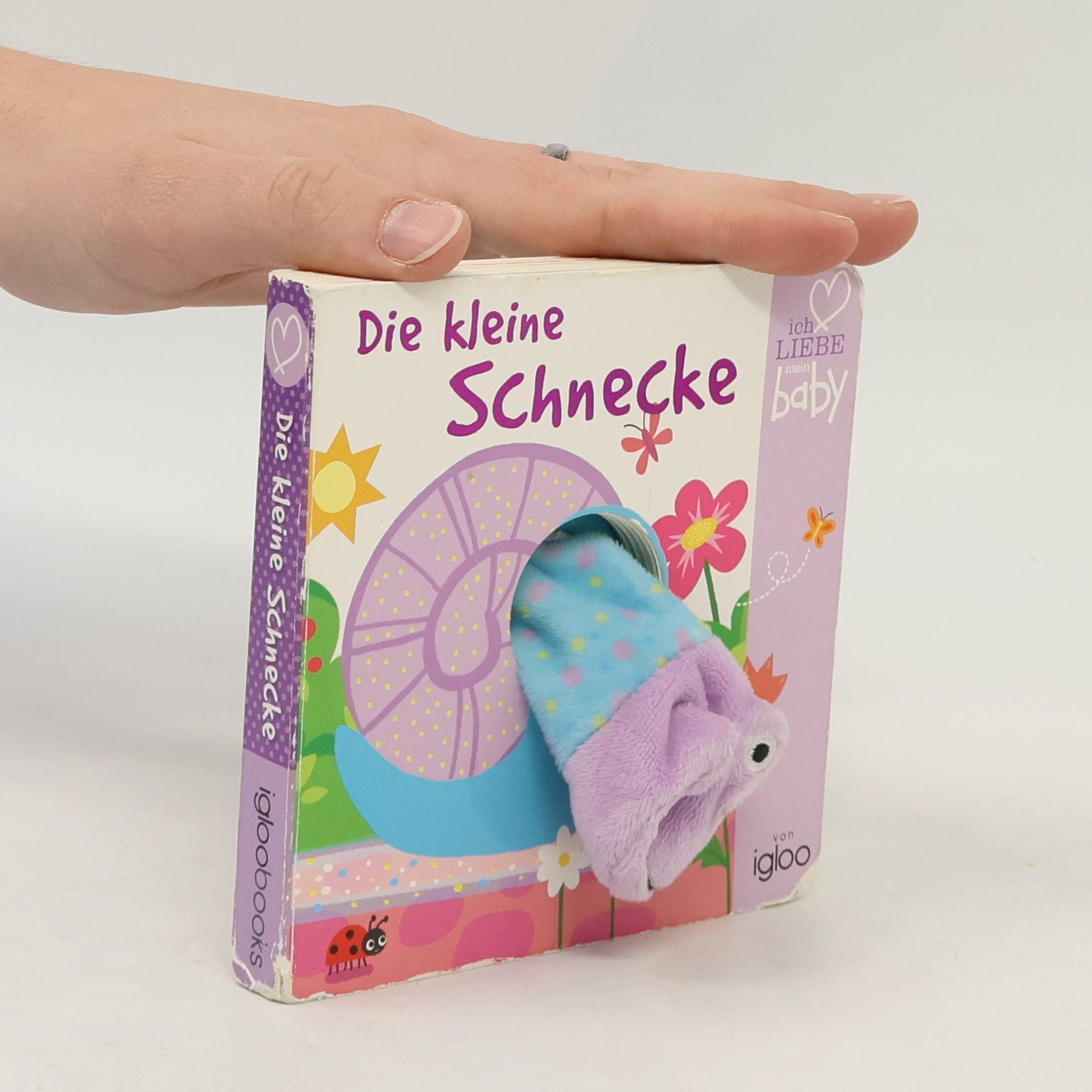 Autorenkollektiv Die kleine Schnecke