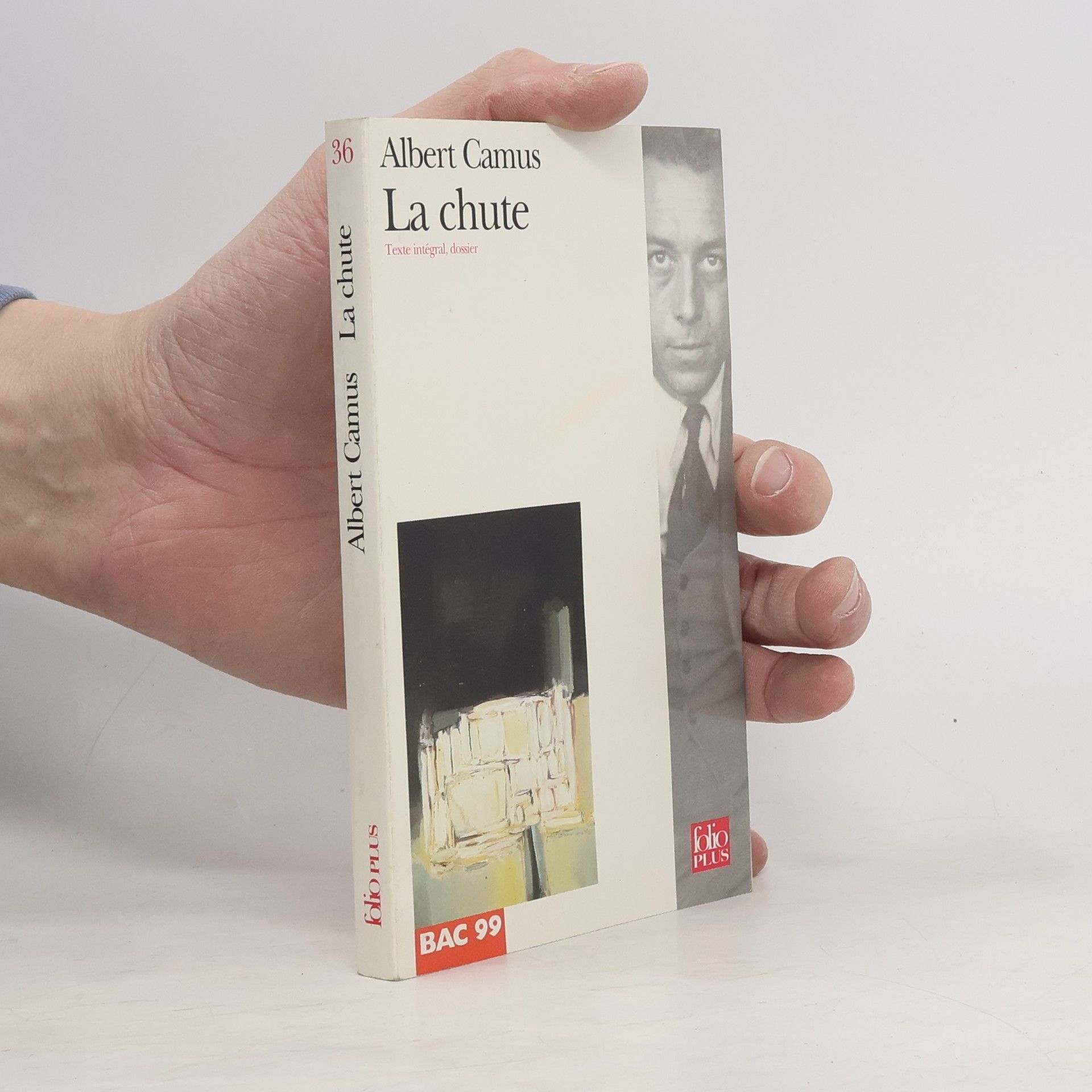 Albert Camus La chute