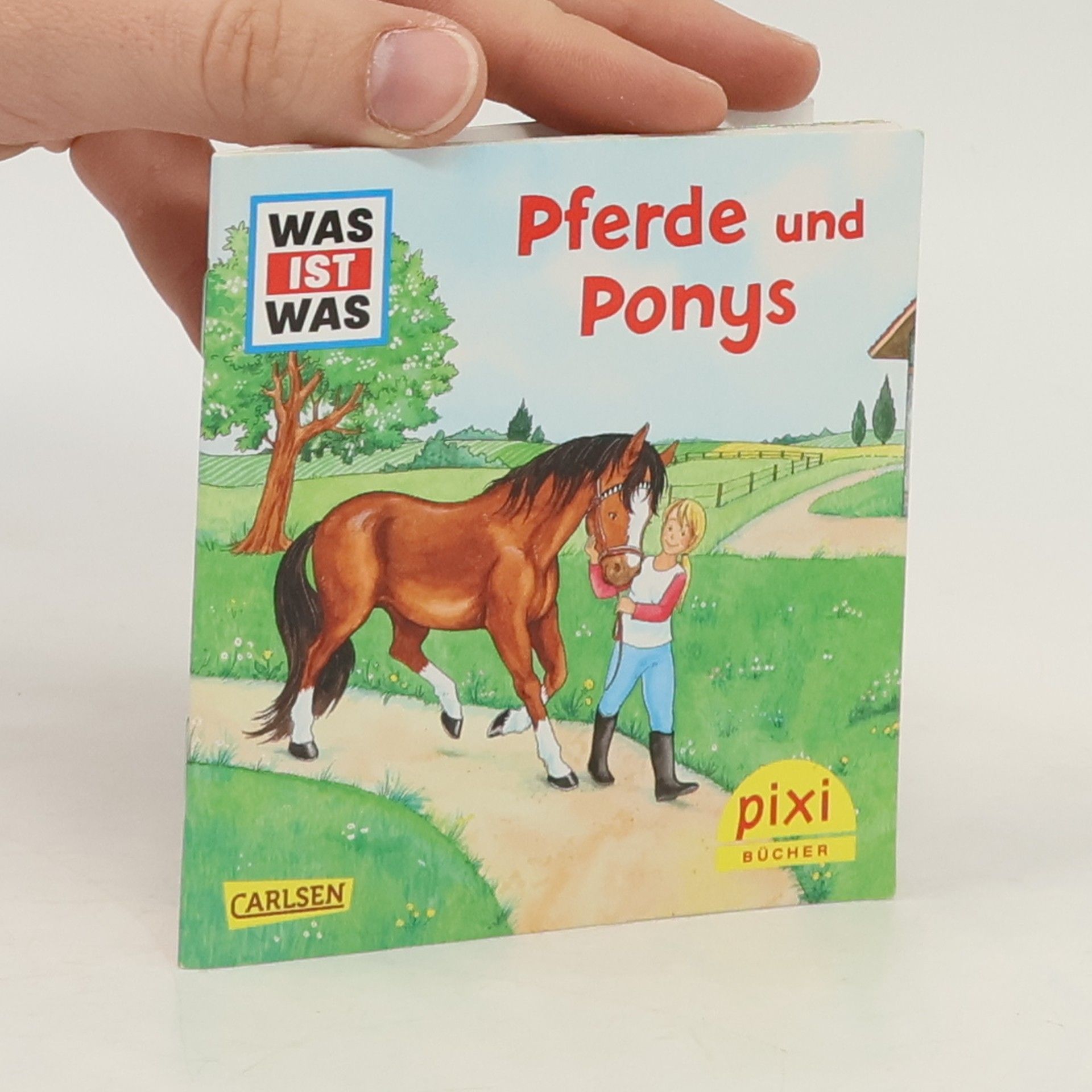 Autorenkollektiv Ein Pony im Garten