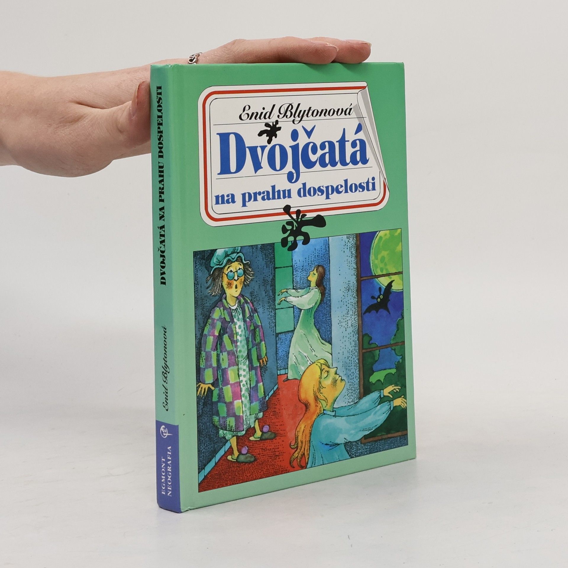 Enid Blyton Dvojčatá na prahu dospelosti