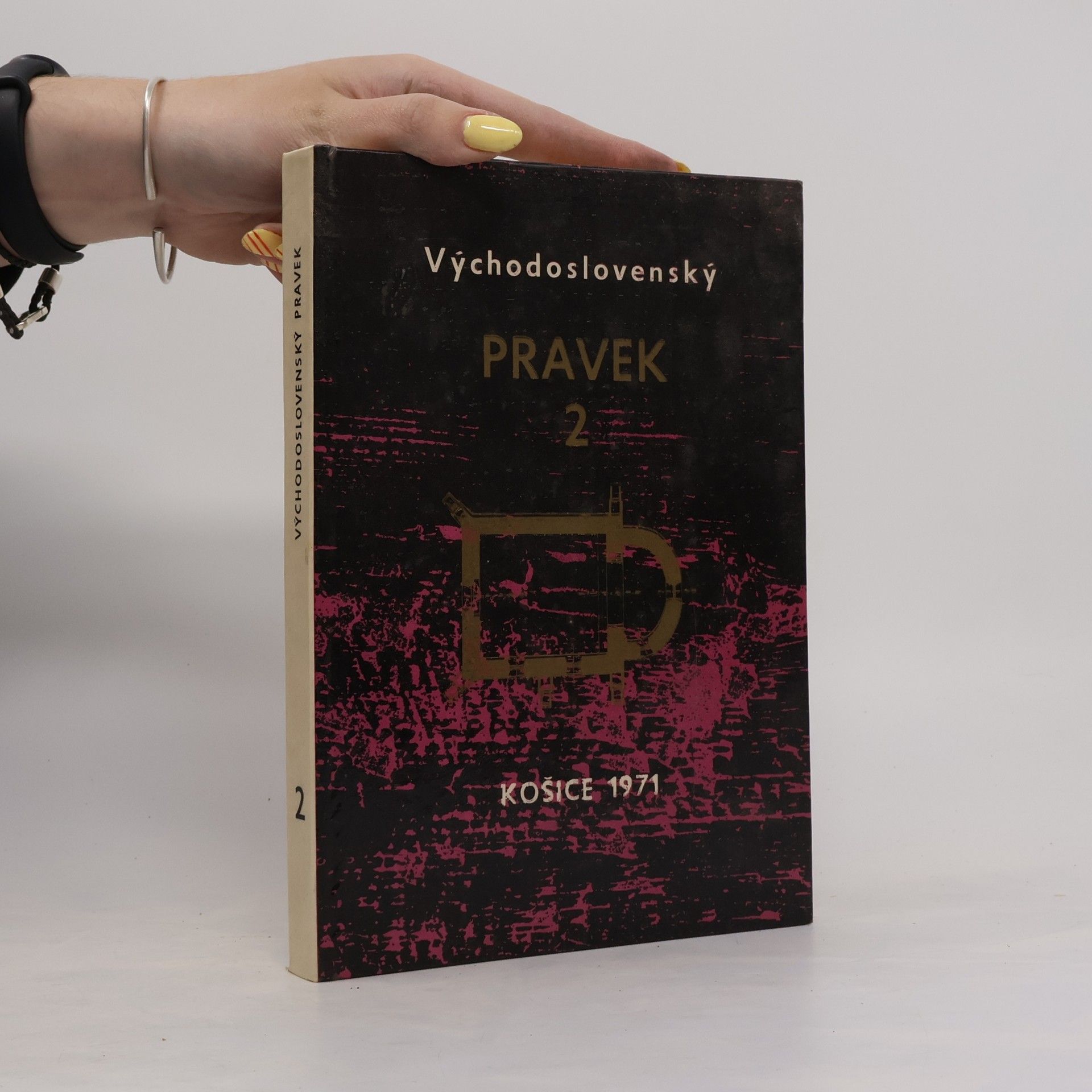 Autorenkollektiv Východoslovenský Pravek 2
