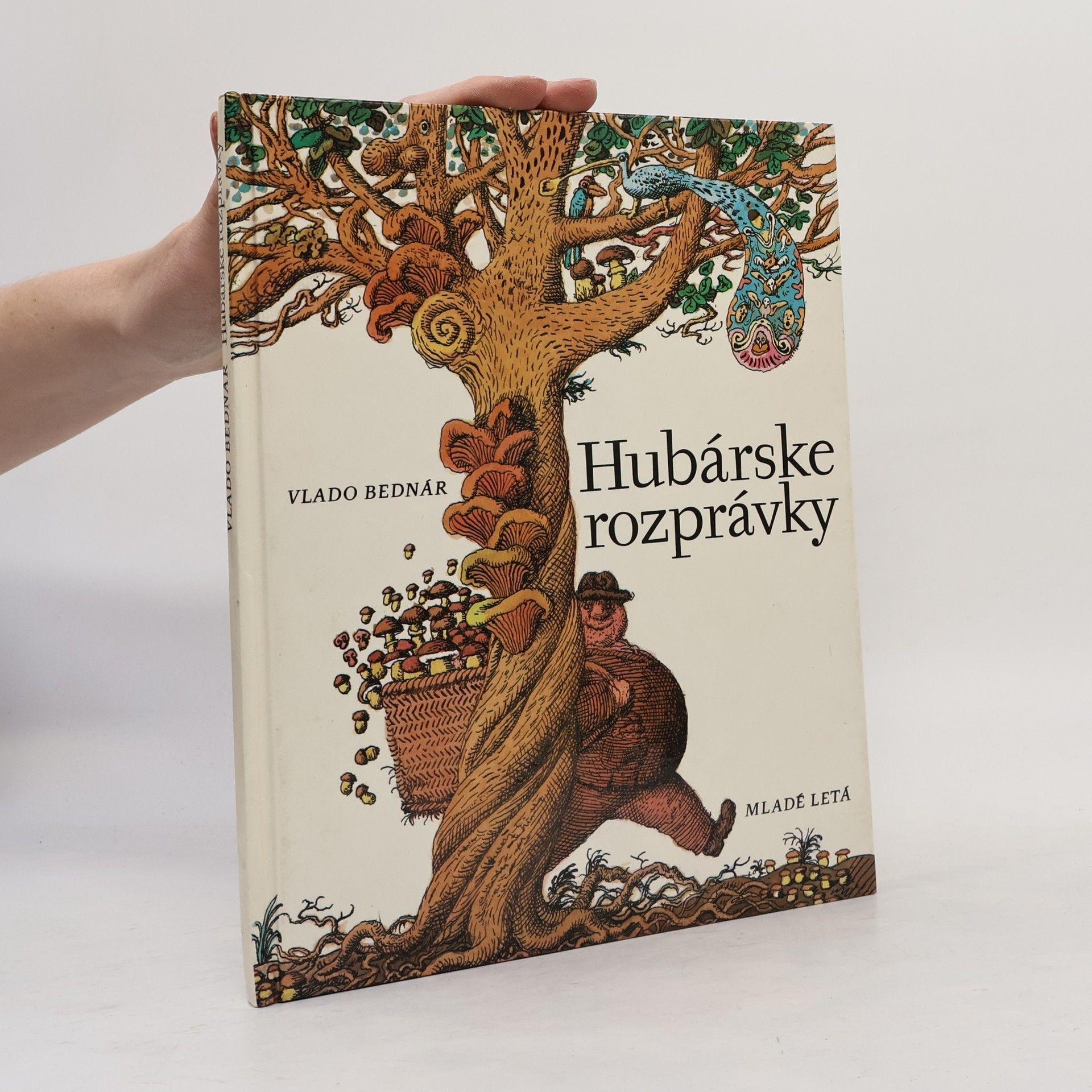 Vlado Bednár Hubárske rozprávky