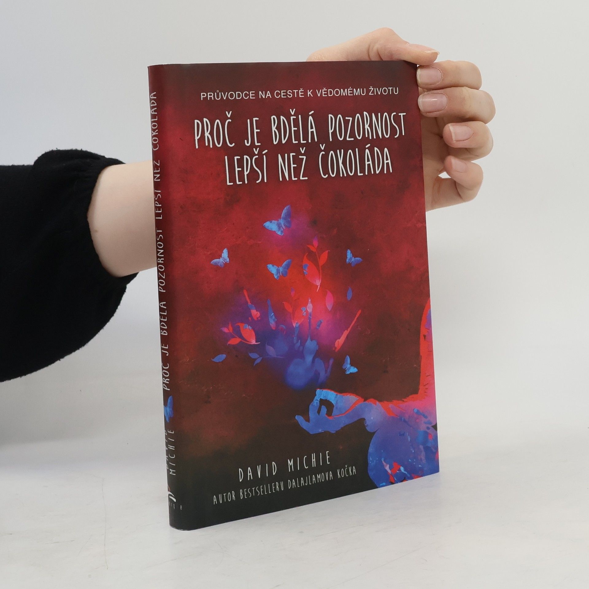 David Michie Proč je bdělá pozornost lepší než čokoláda