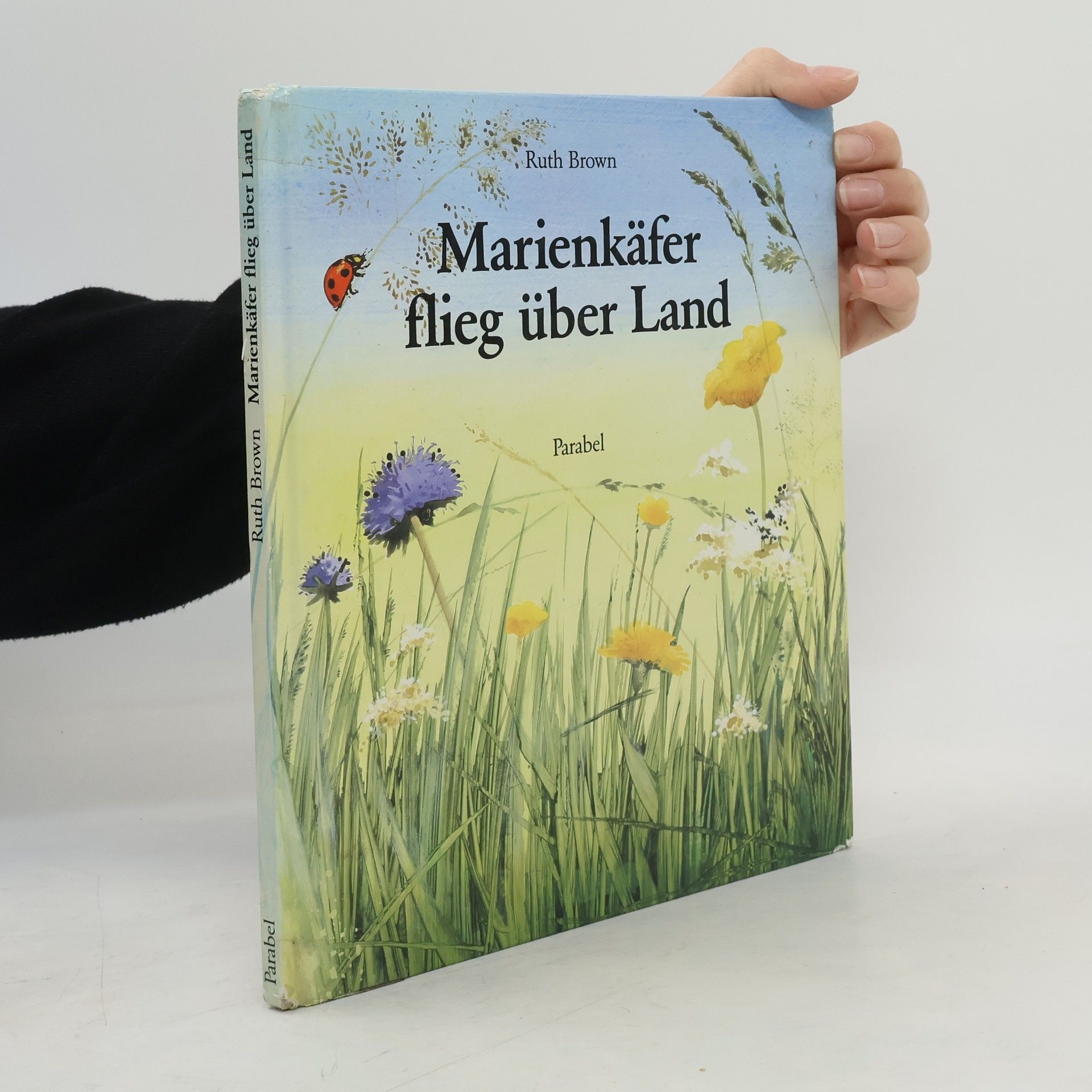 Marienkäfer, flieg über Land