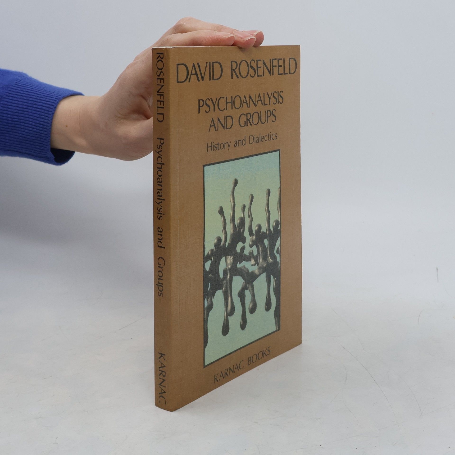 David Rosenfeld Psychoanalysis and Groups