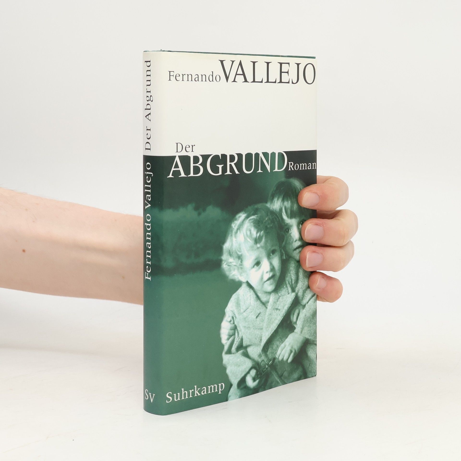 Fernando Vallejo Der Abgrund