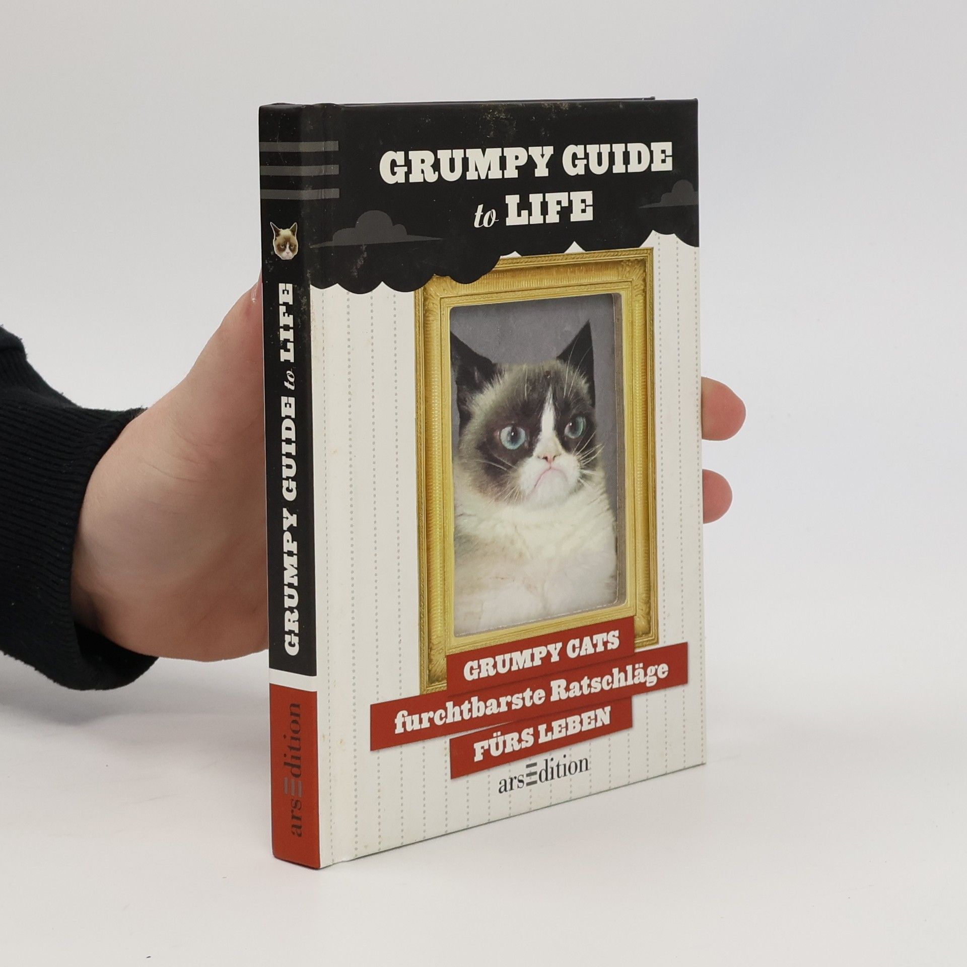 Autorenkollektiv Grumpy Guide to Life