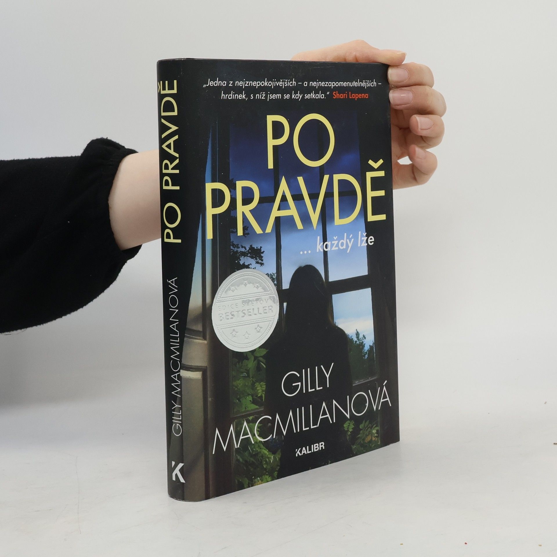 Gilly Macmillan Po pravdě ...každý lže