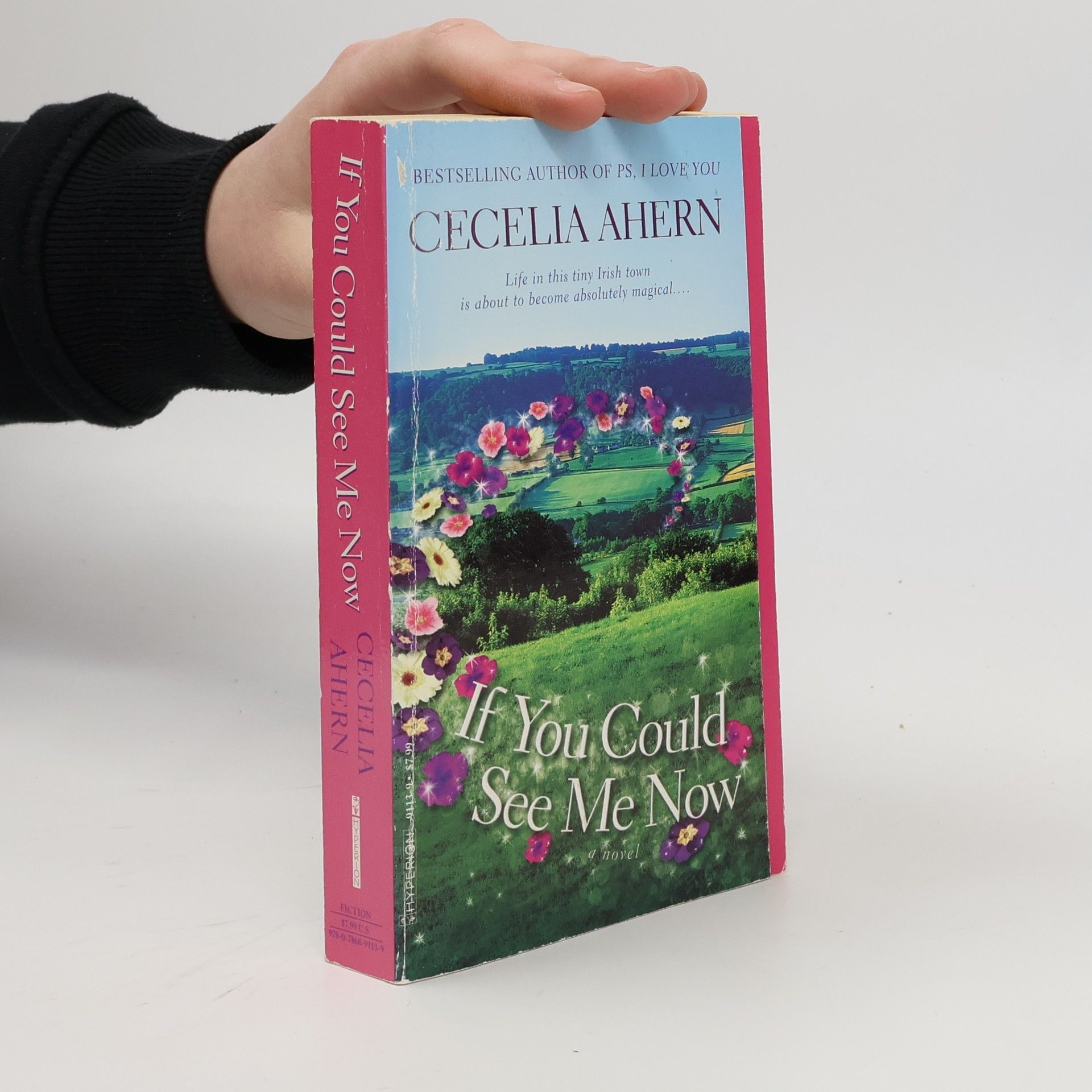 Cecelia Ahern If You Could See Me Now