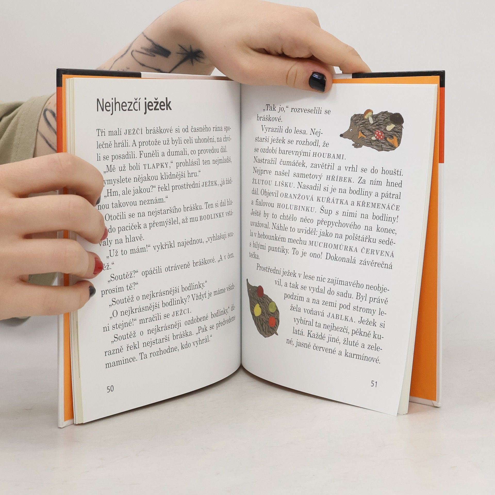 Zuzana Kovaříková Za zvířátky do lesa
