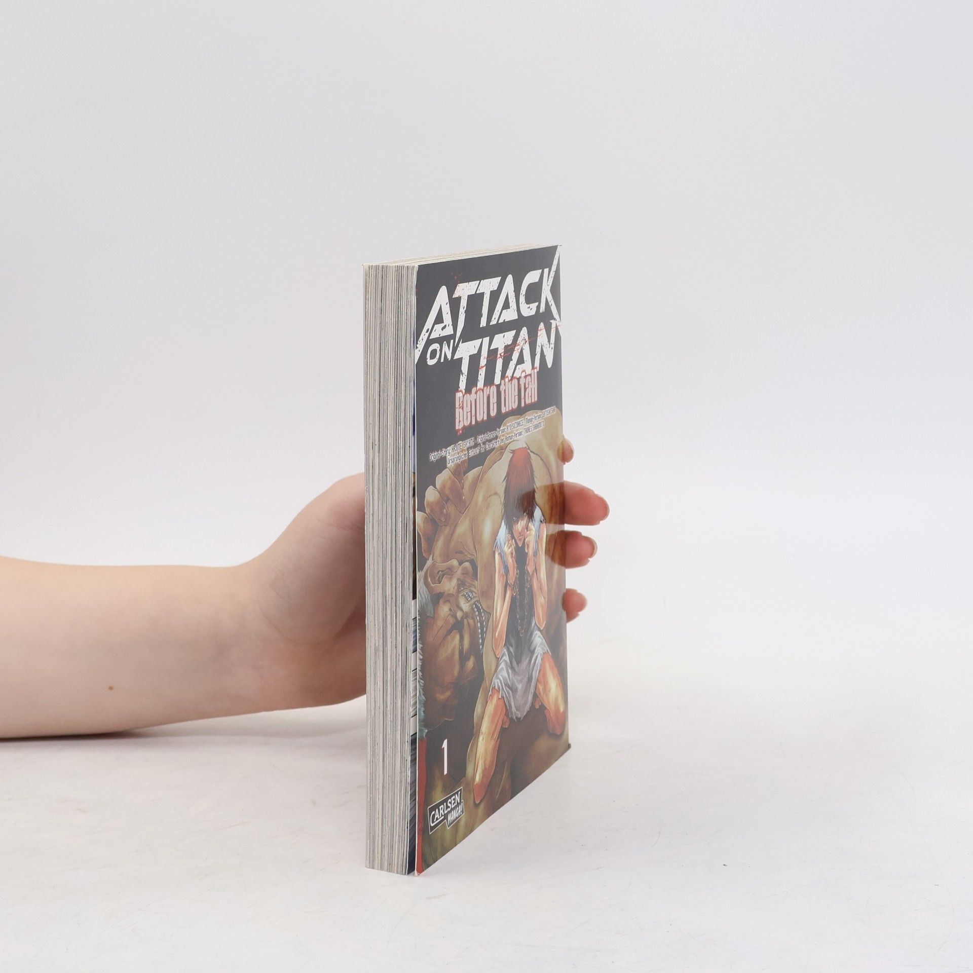 Ryo Suzukaze Attack on Titan: before the fall 1