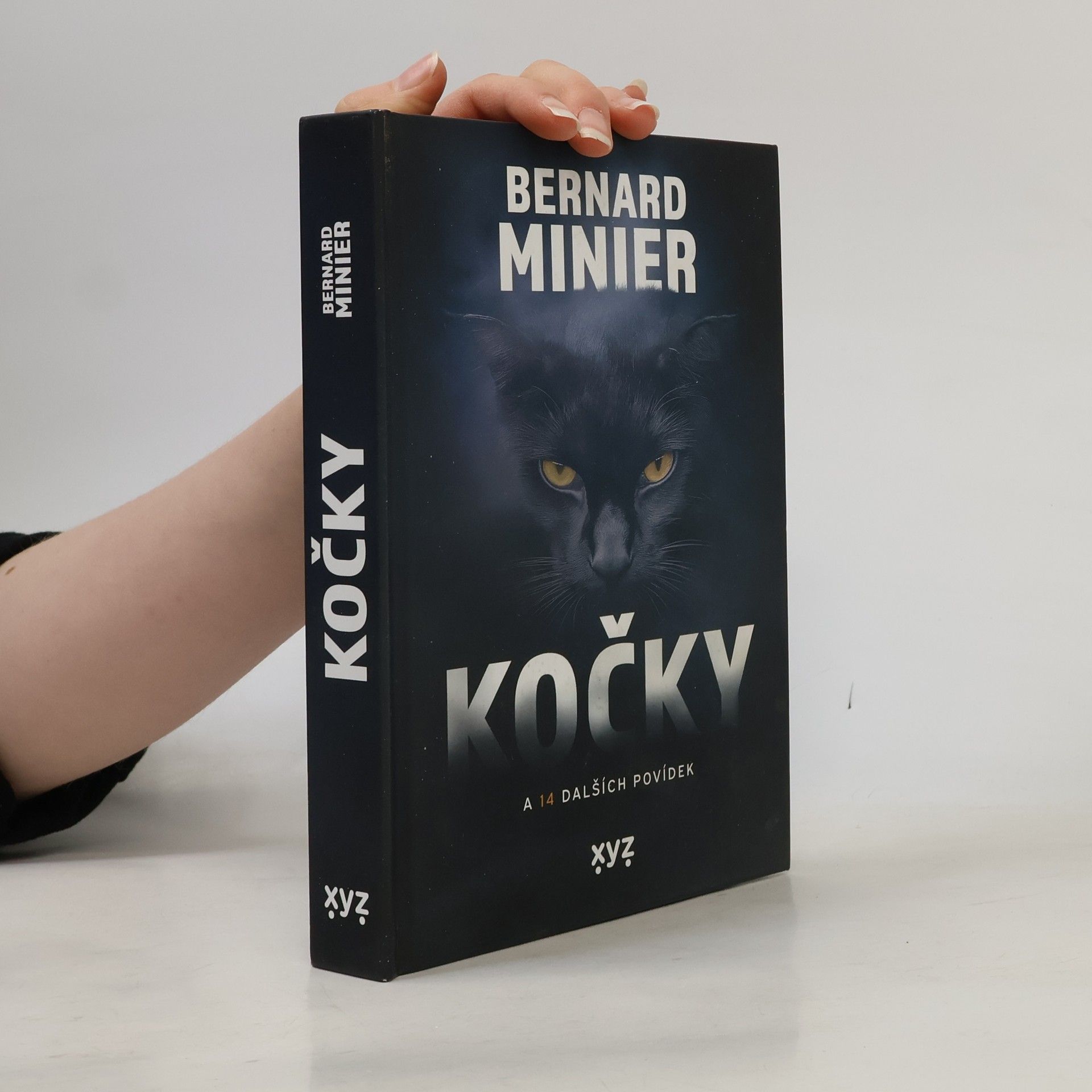 Bernard Minier Kočky