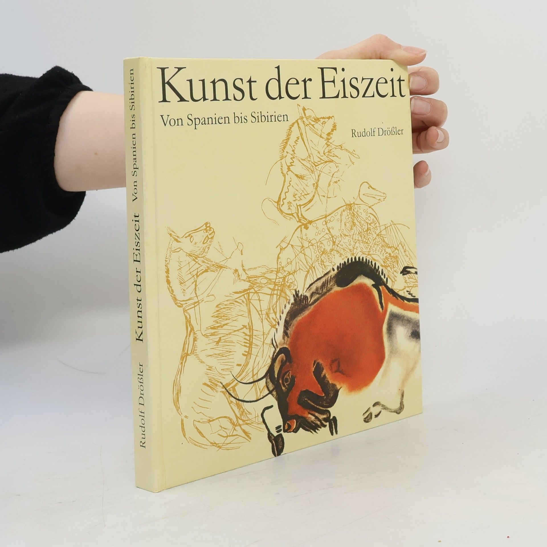 Rudolf Drößler Kunst der Eiszeit
