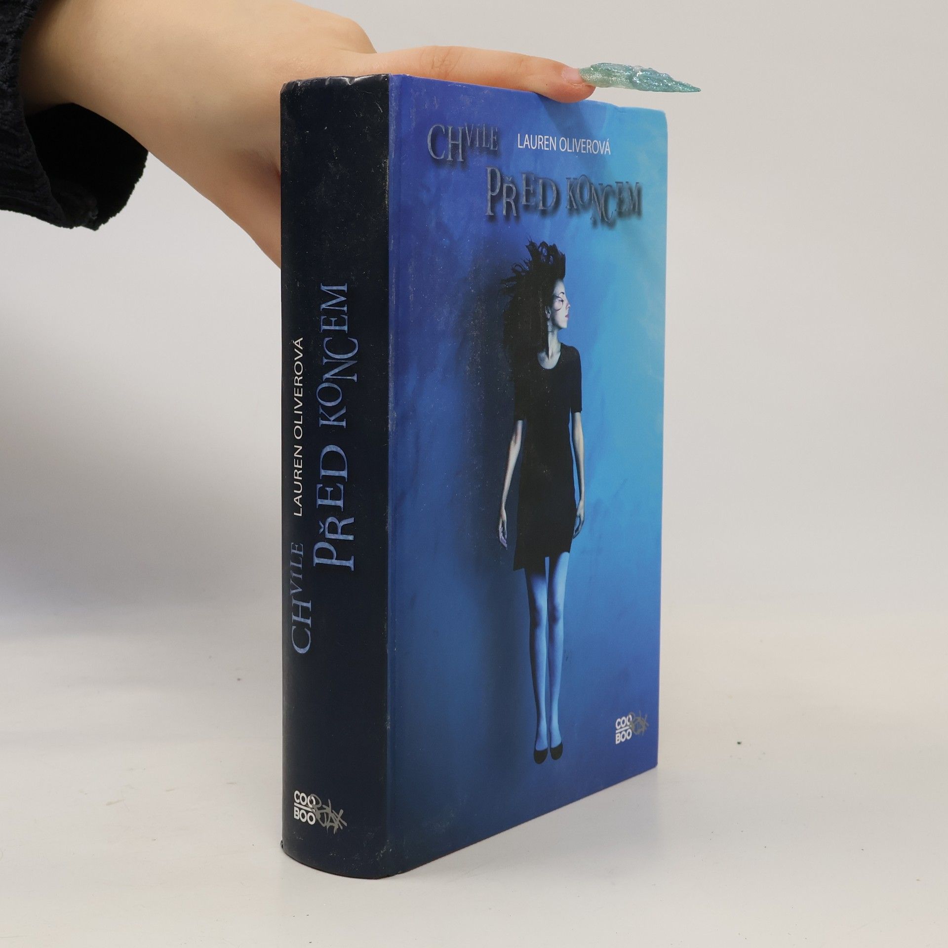 Lauren Oliver Chvíle před koncem
