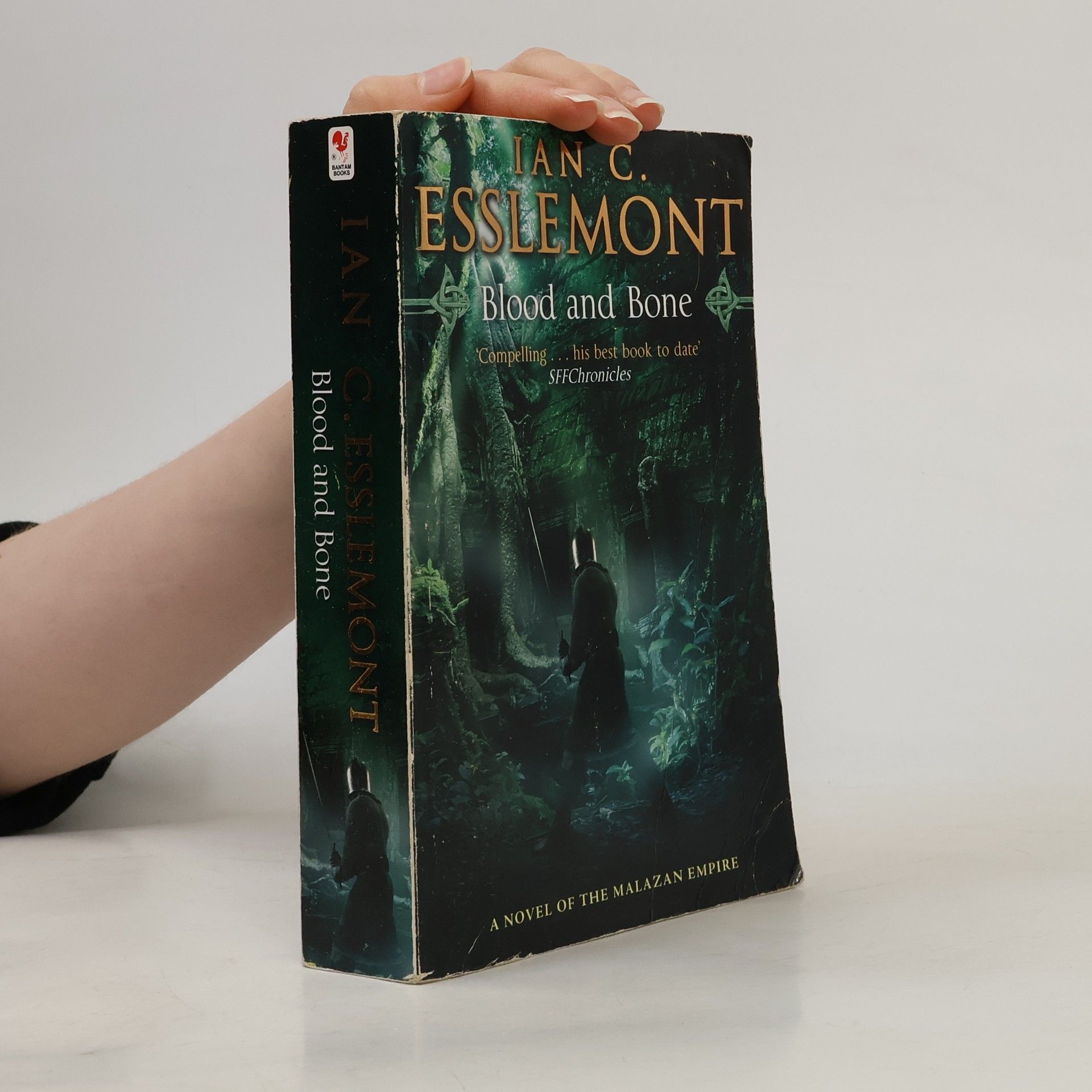 Ian Cameron Esslemont Blood and Bone