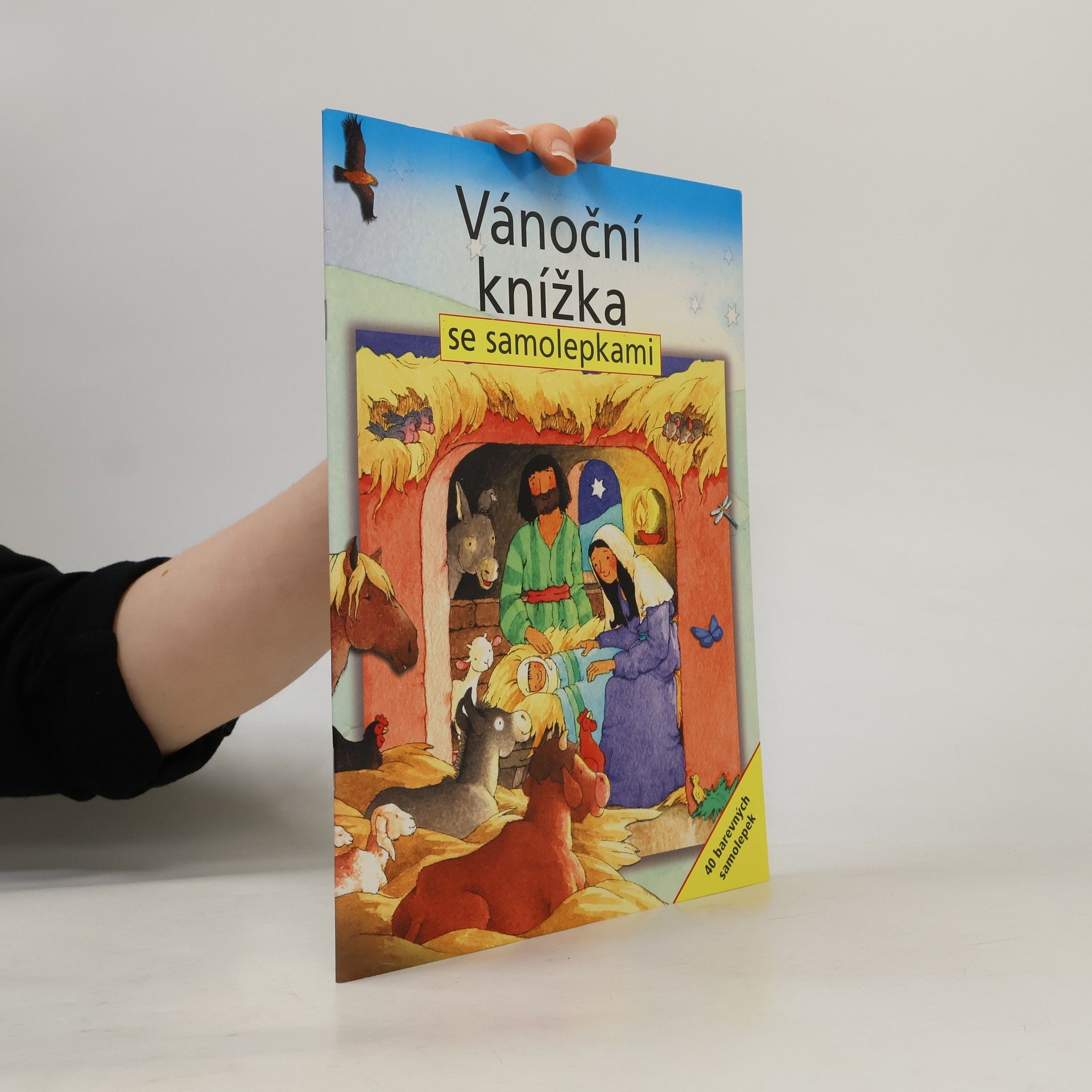 Sally Ann Wright Vánoční knížka se samolepkami