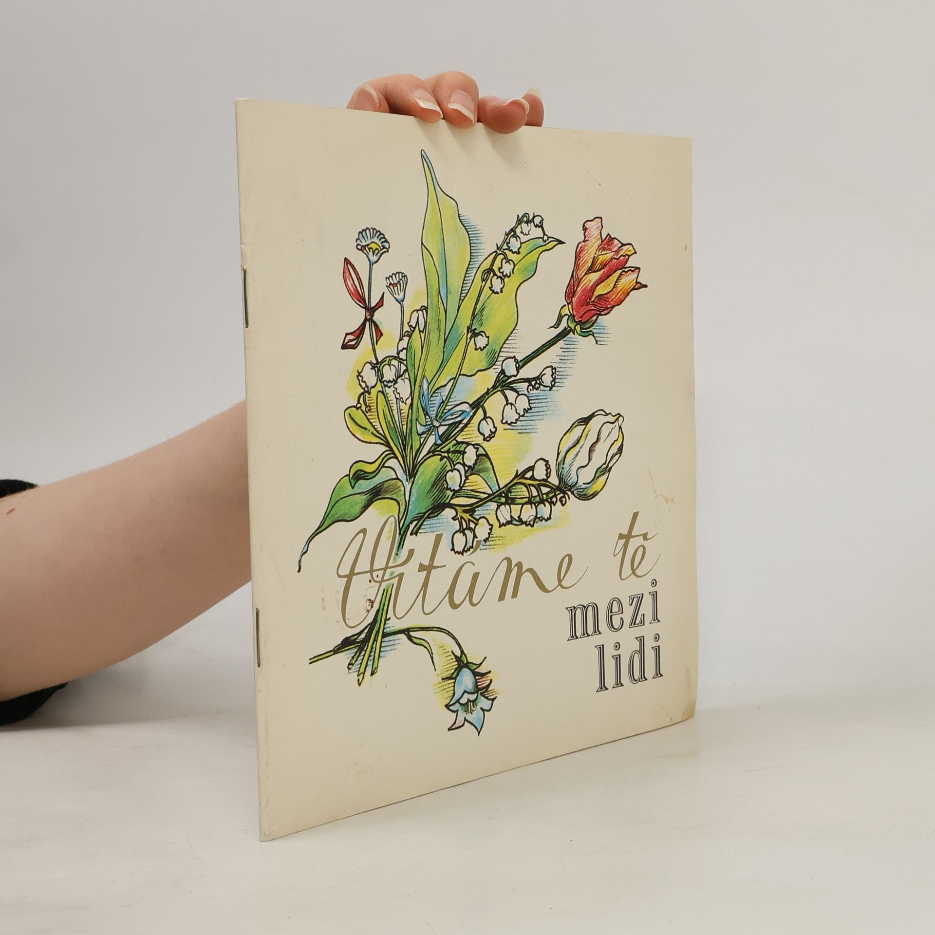 Autorenkollektiv Vítáme tě mezi lidi