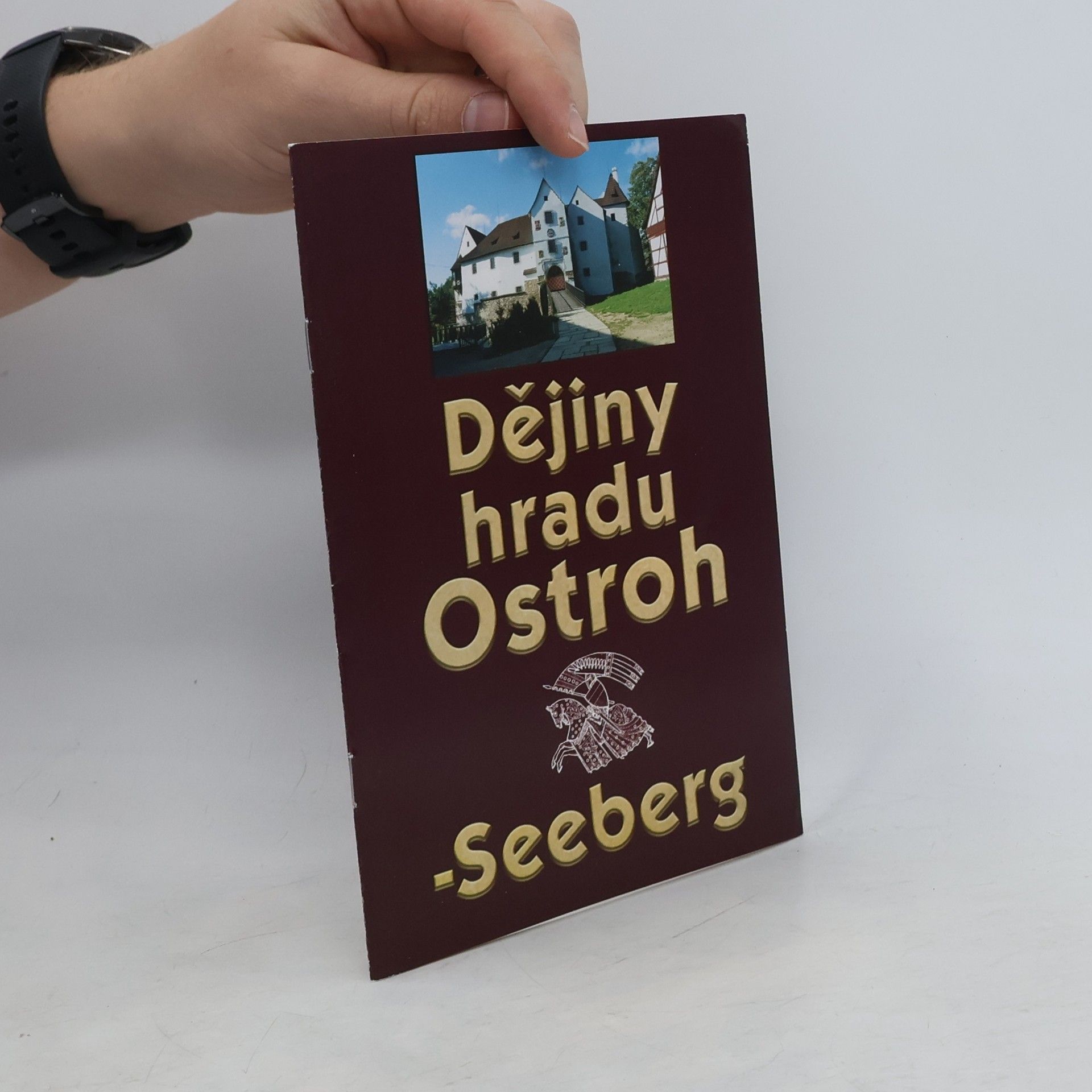Stanislav Macek Dějiny hradu Ostroh - Seeberg