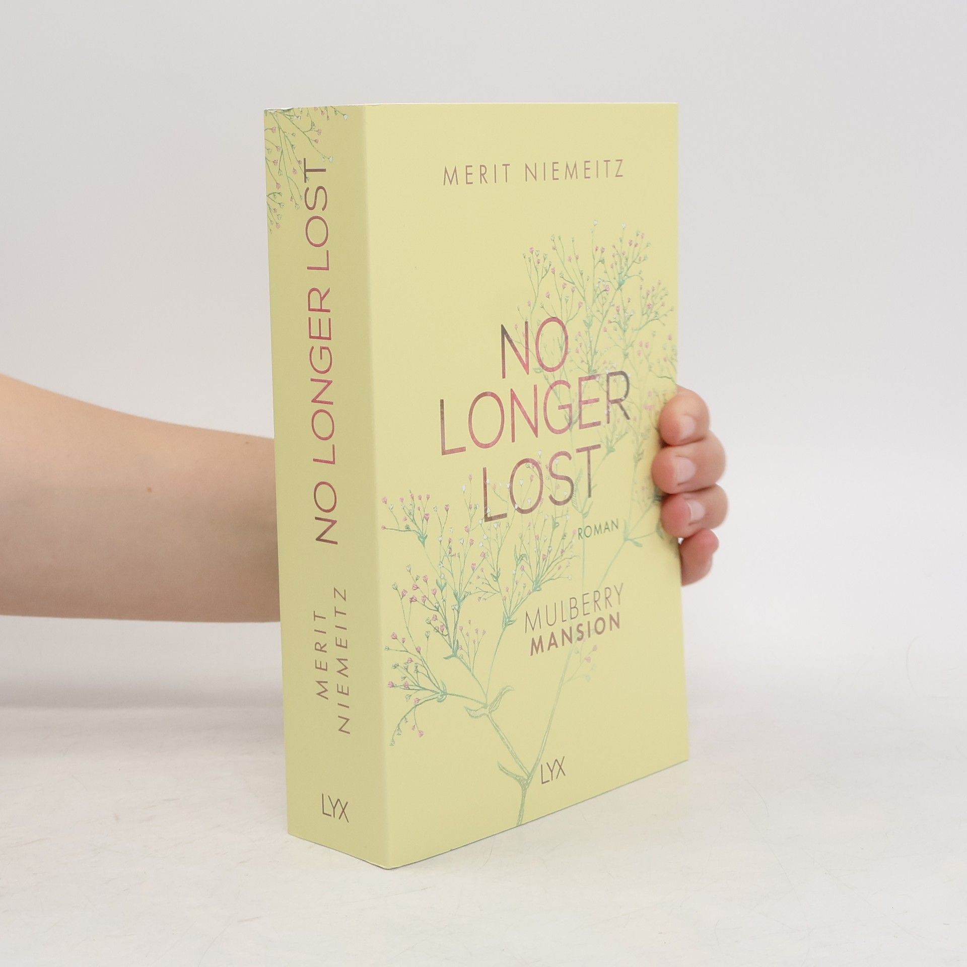 Merit Niemeitz No Longer Lost