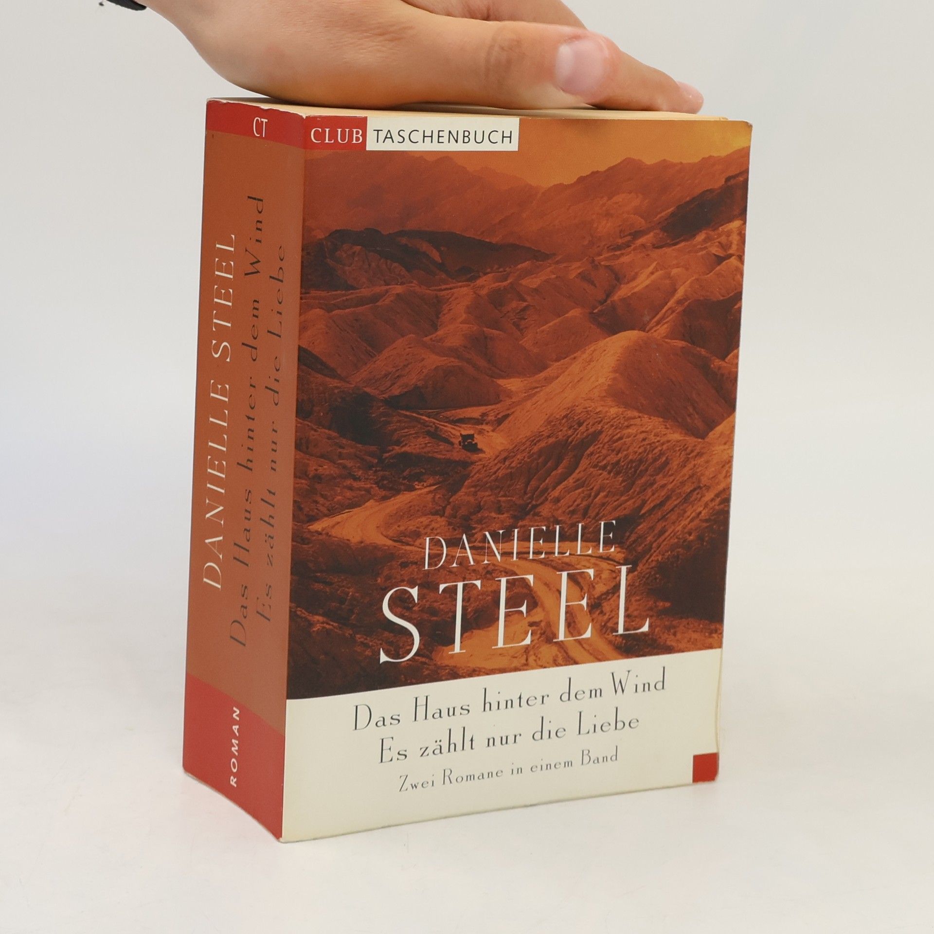 Danielle Steel Das Haus hinter dem Wind, Es zählt nur die Liebe