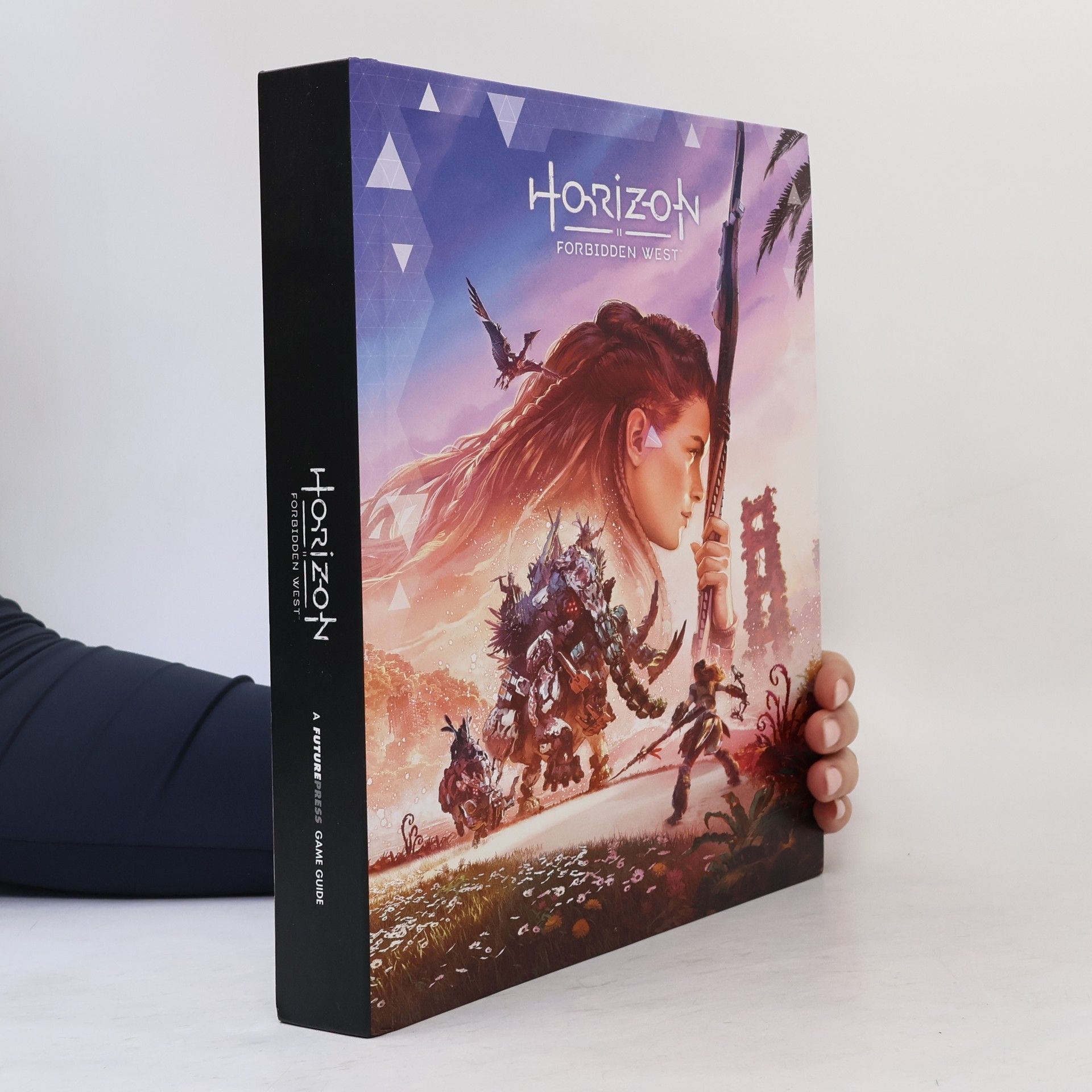 Autorenkollektiv Horizon Forbidden West Official Strategy Guide