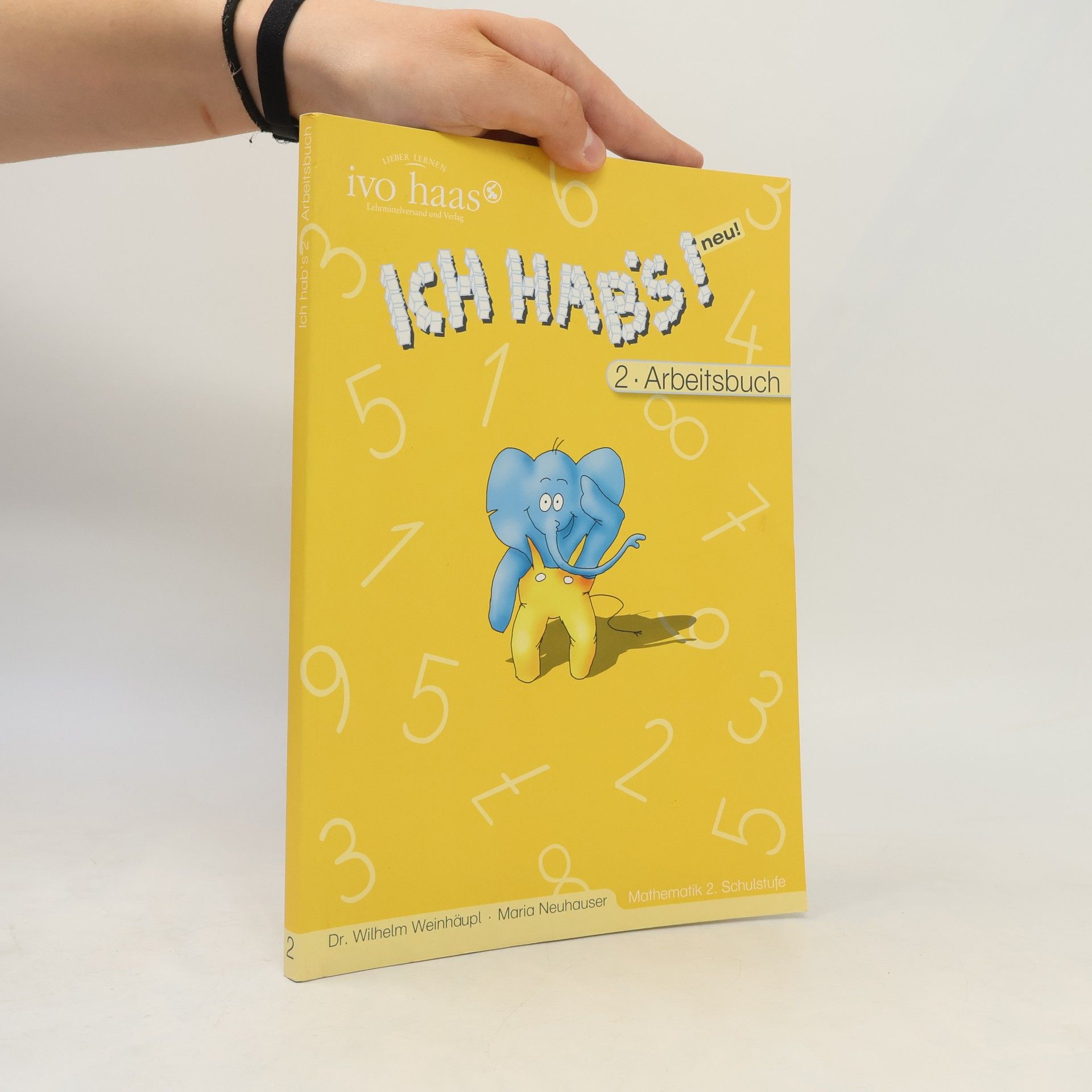 Ivo Haas Ich hab's! 2. Arbeitsbuch