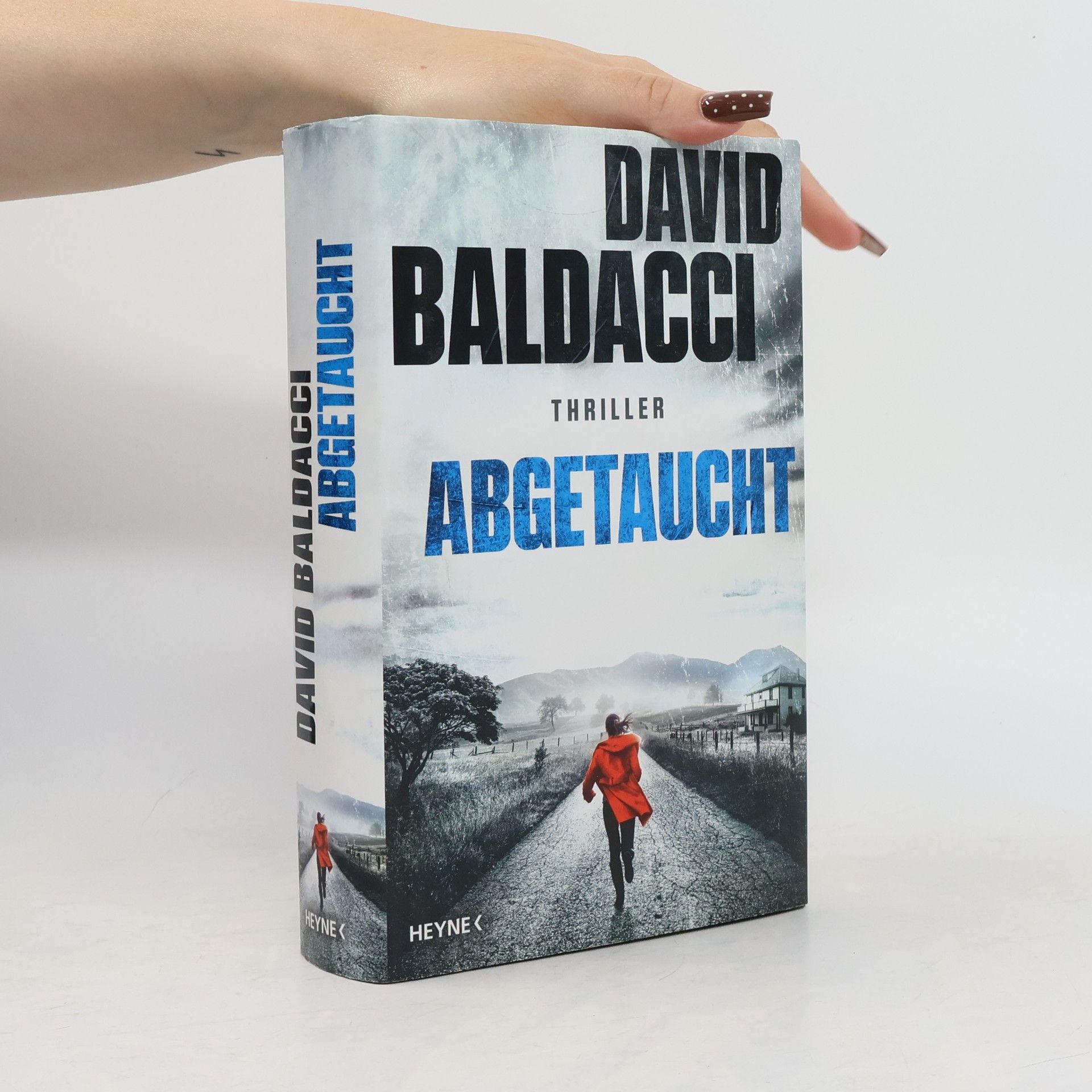 David Baldacci Abgetaucht