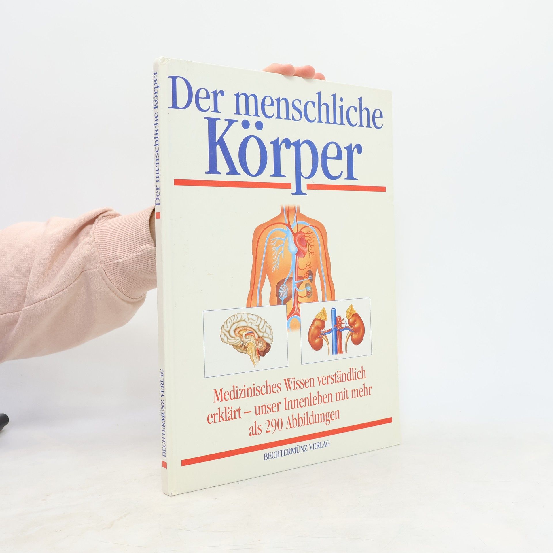 Michael Damm Der menschliche Körper