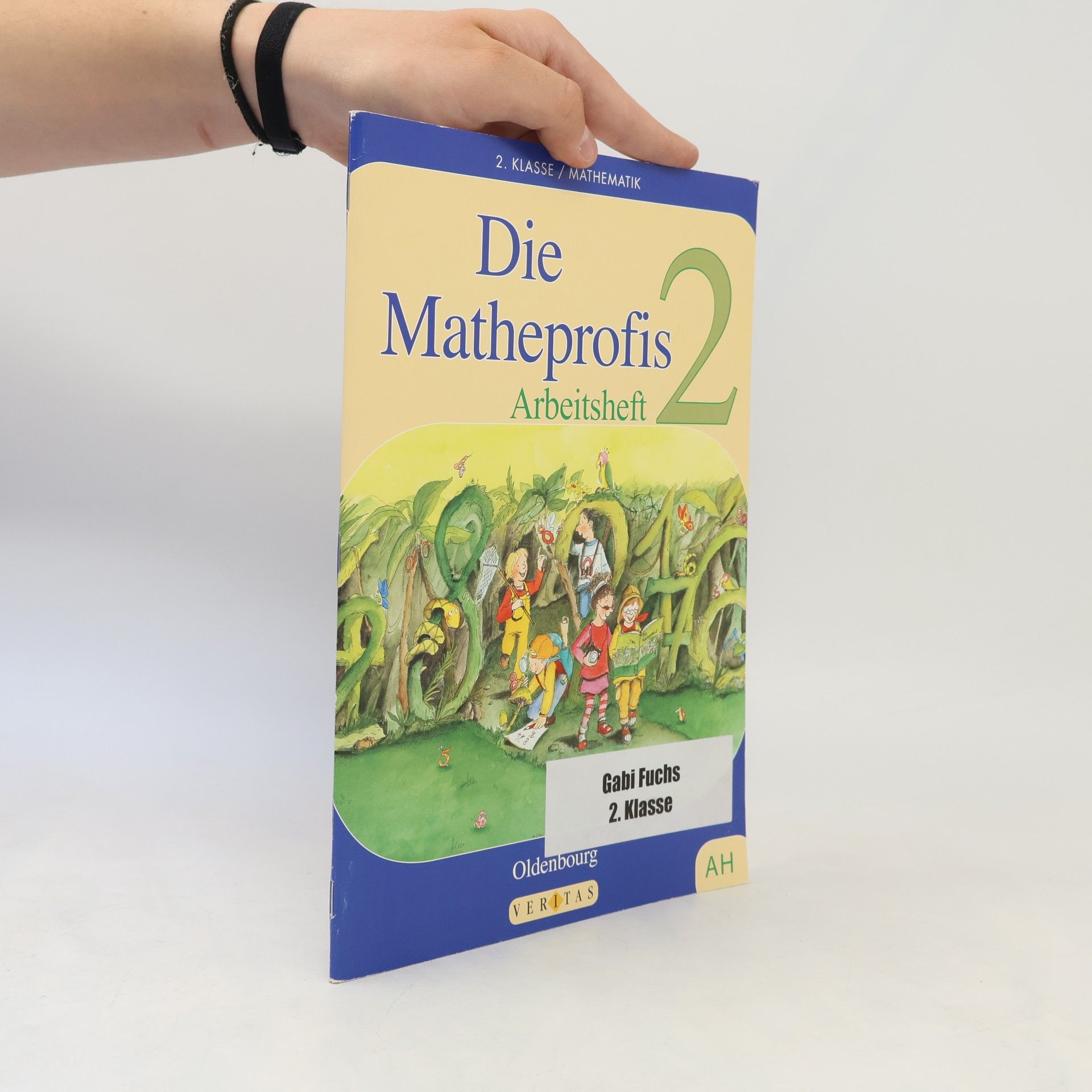 Collectif d'auteurs Die Matheprofis 2