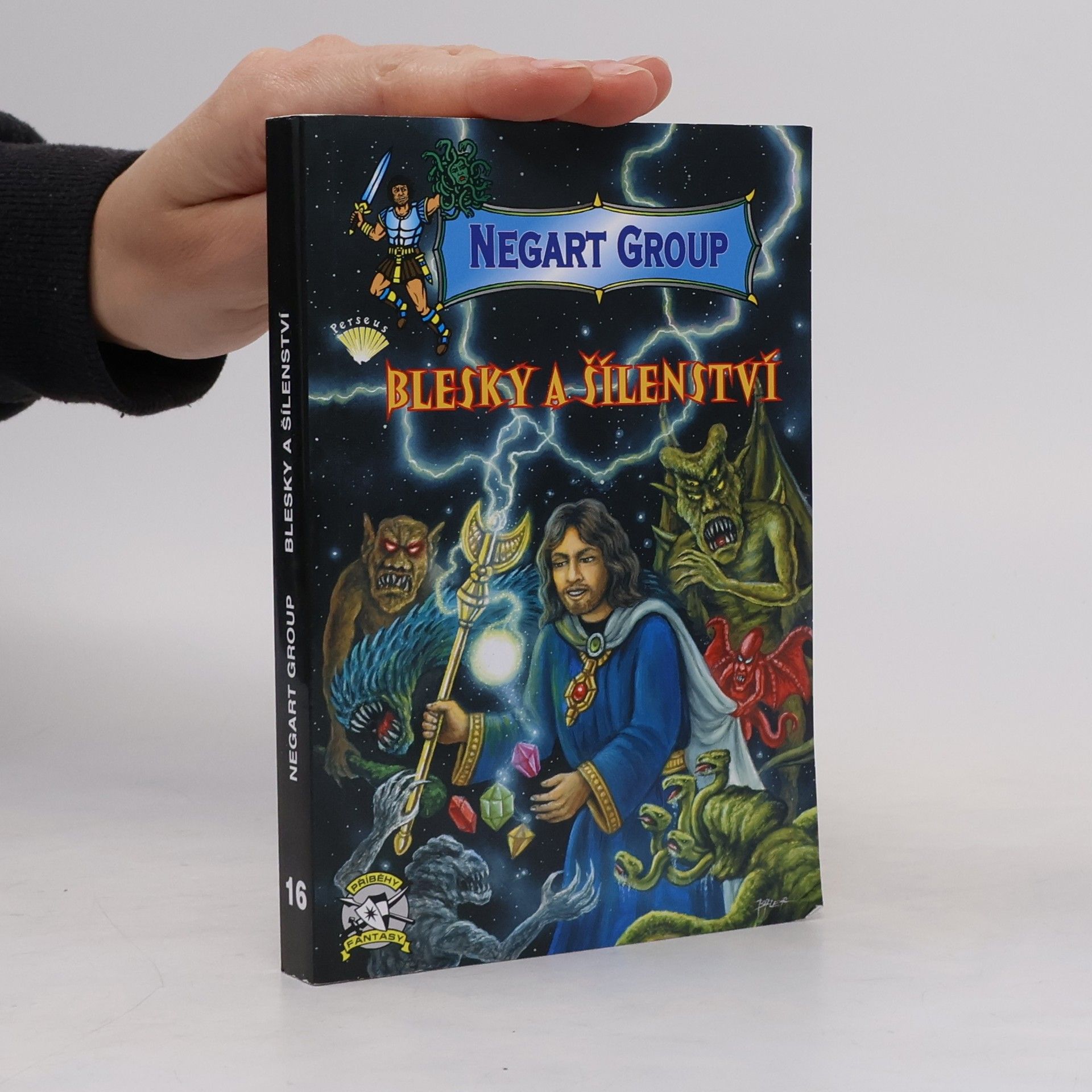 Dach Zbyněk Negart Group. Blesky a šílenství 16