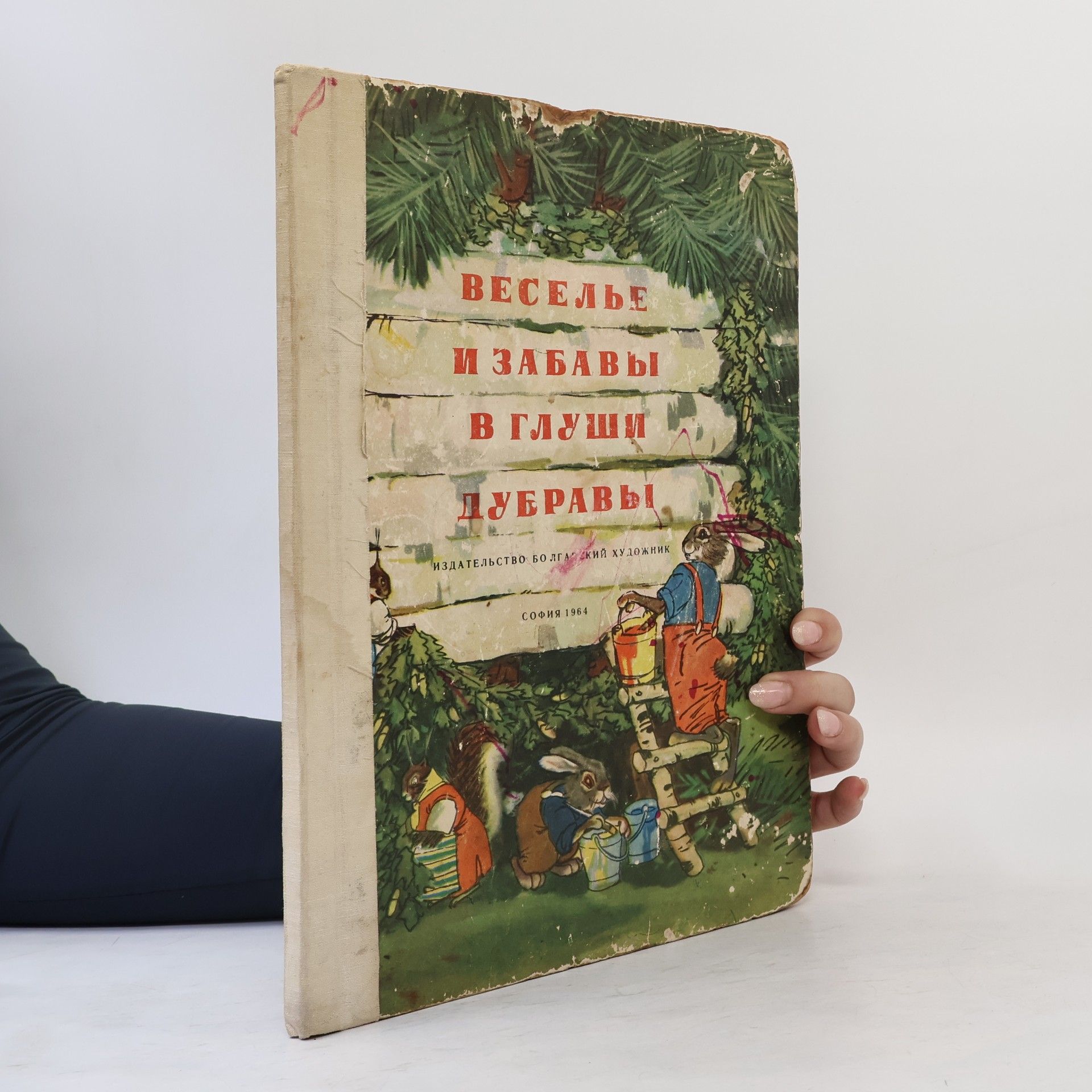 Autorenkollektiv Веселье и забавы в глуши Дубравы