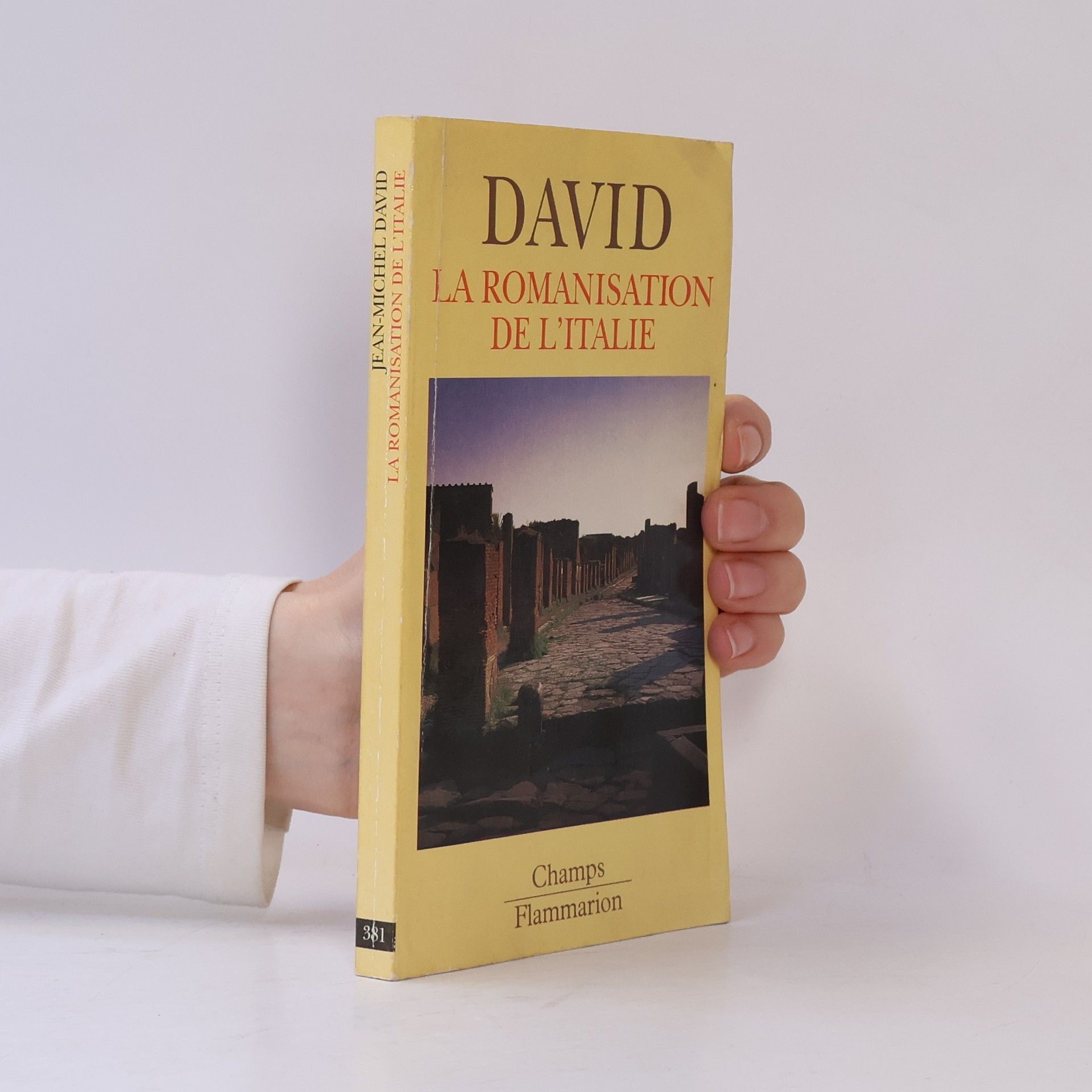 Jean-Michel David Romanisation de l'Italie