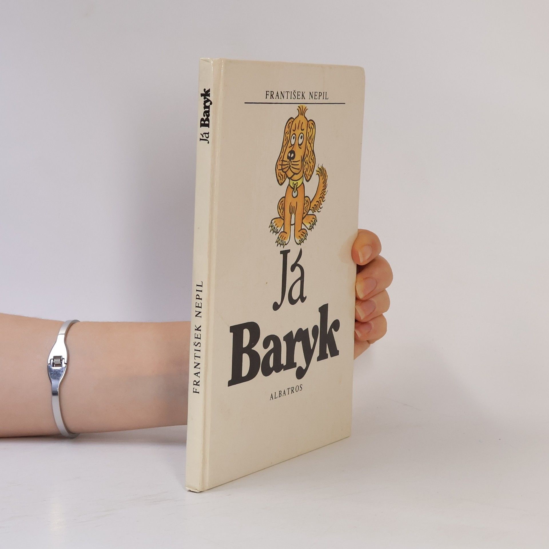 Já Baryk