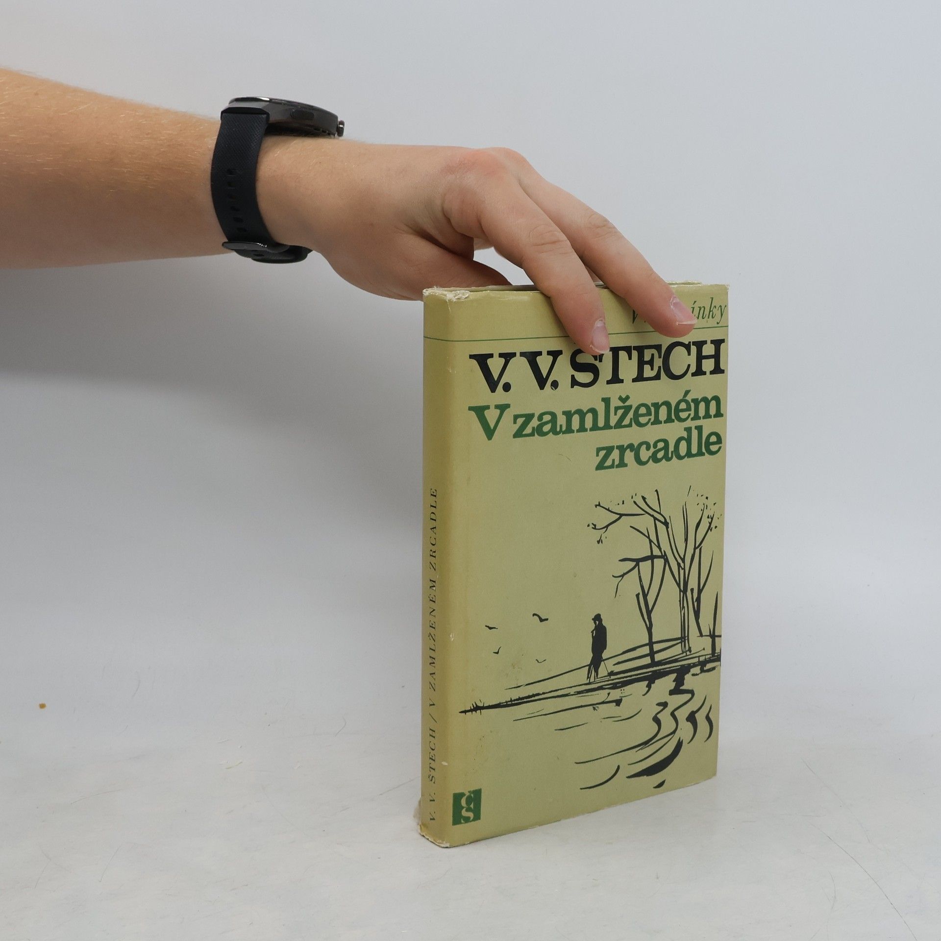 V. V. Štech V zamlženém zrcadle 1