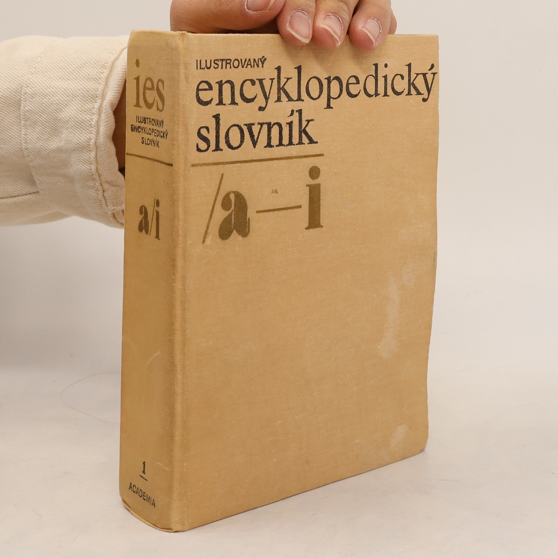 Autorenkollektiv Ilustrovaný encyklopedický slovník 1. A-I