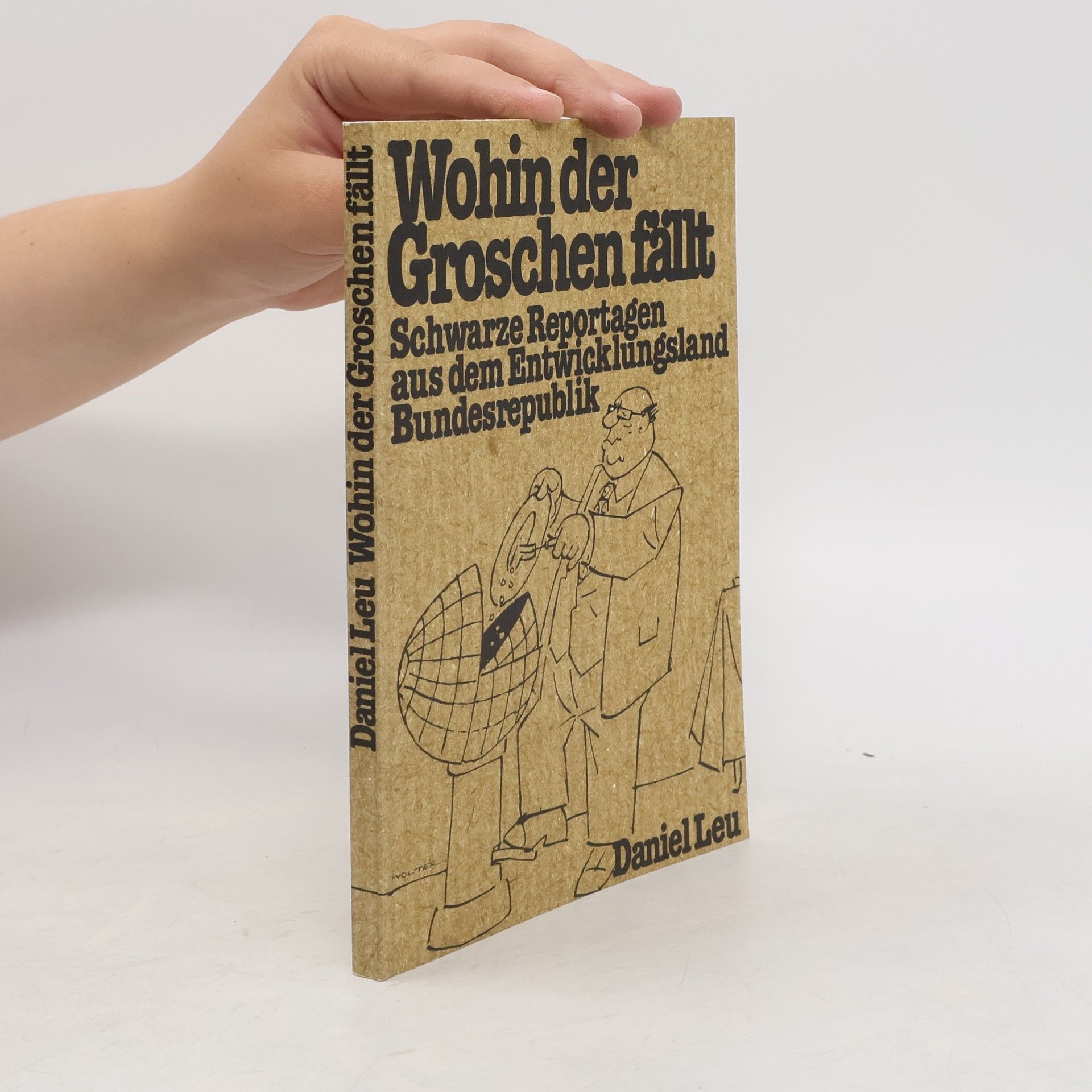 Daniel Leu Wohin der Groschen fällt