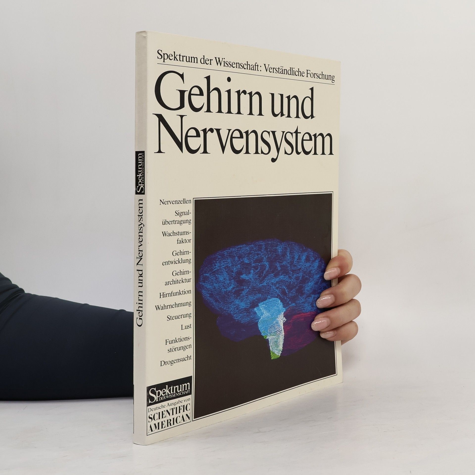 Autorenkollektiv Gehirn und Nervensystem