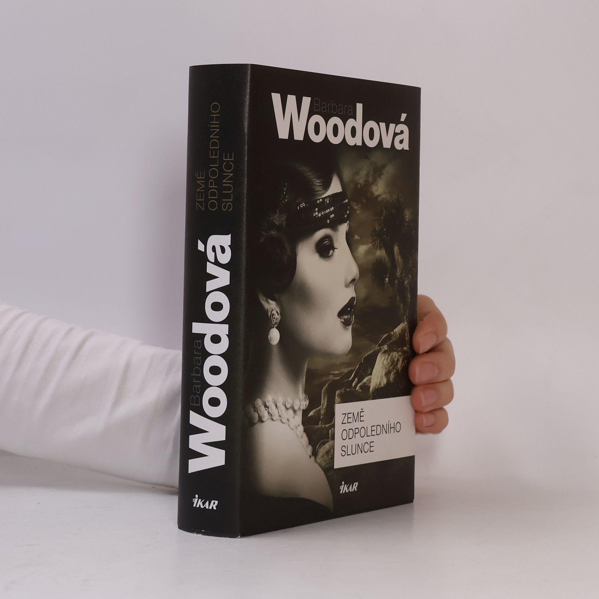 Barbara Wood Země odpoledního slunce