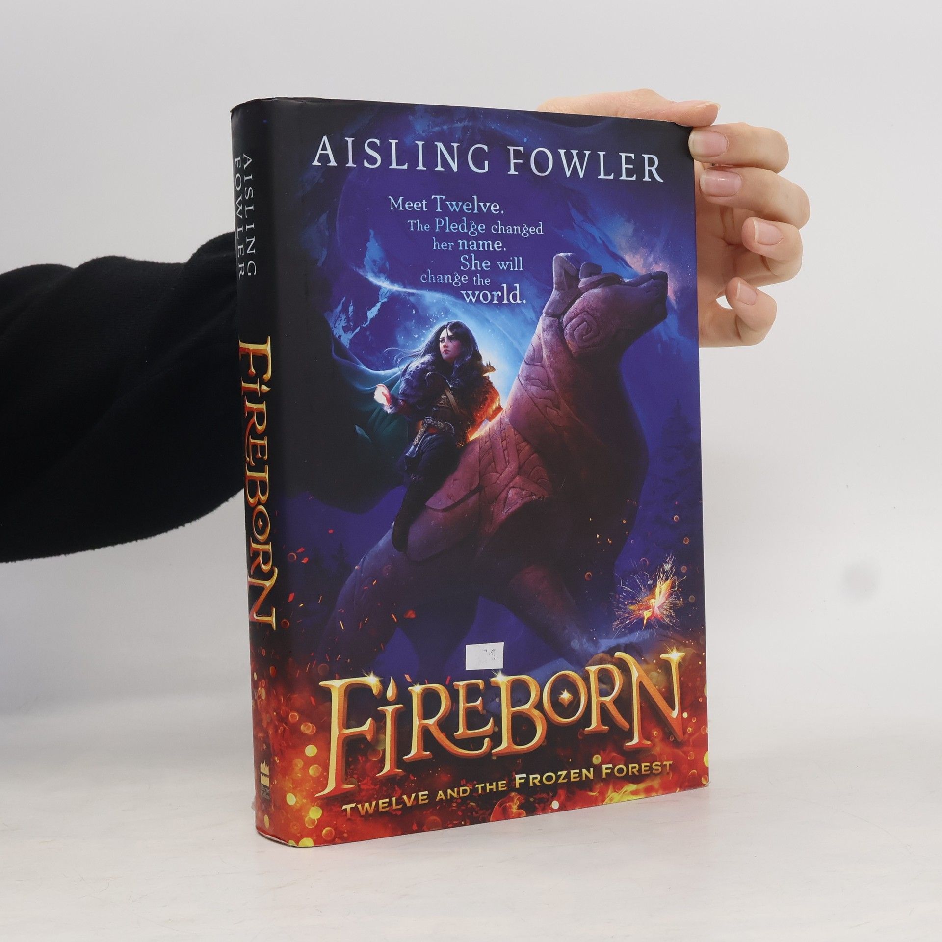 Aisling Fowler Fireborn