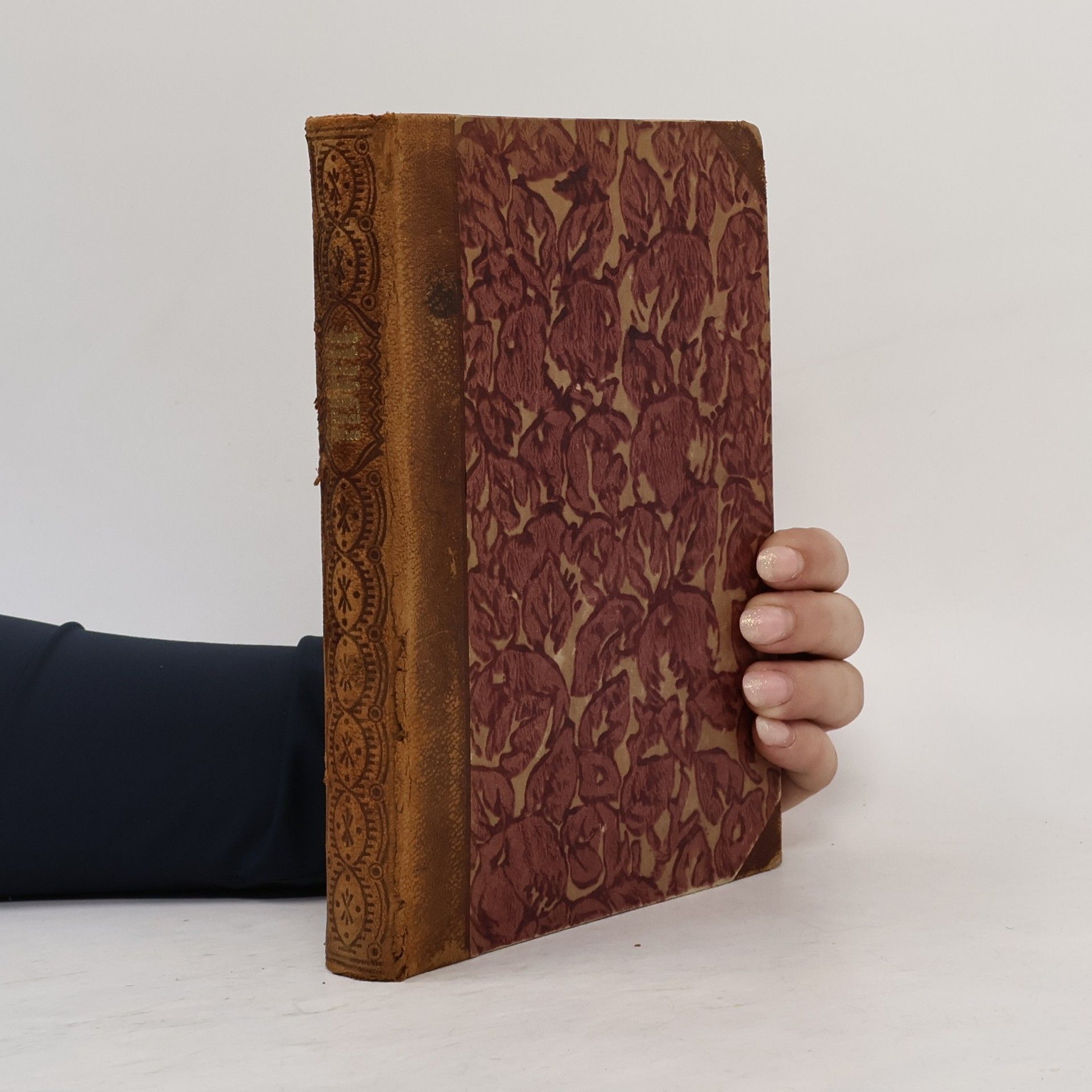 Collectif d'auteurs Liebesnovellen der italienischen Renaissance