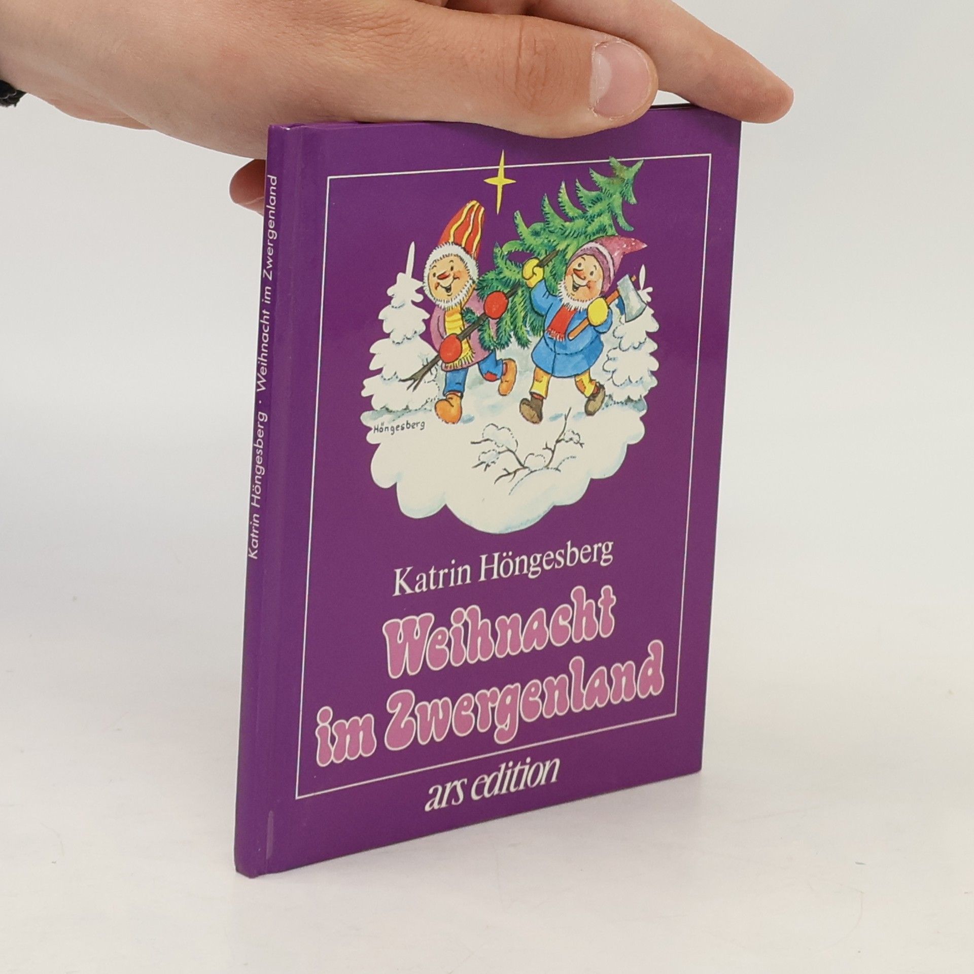 Katrin Höngesberg Weihnacht im Zwergenland