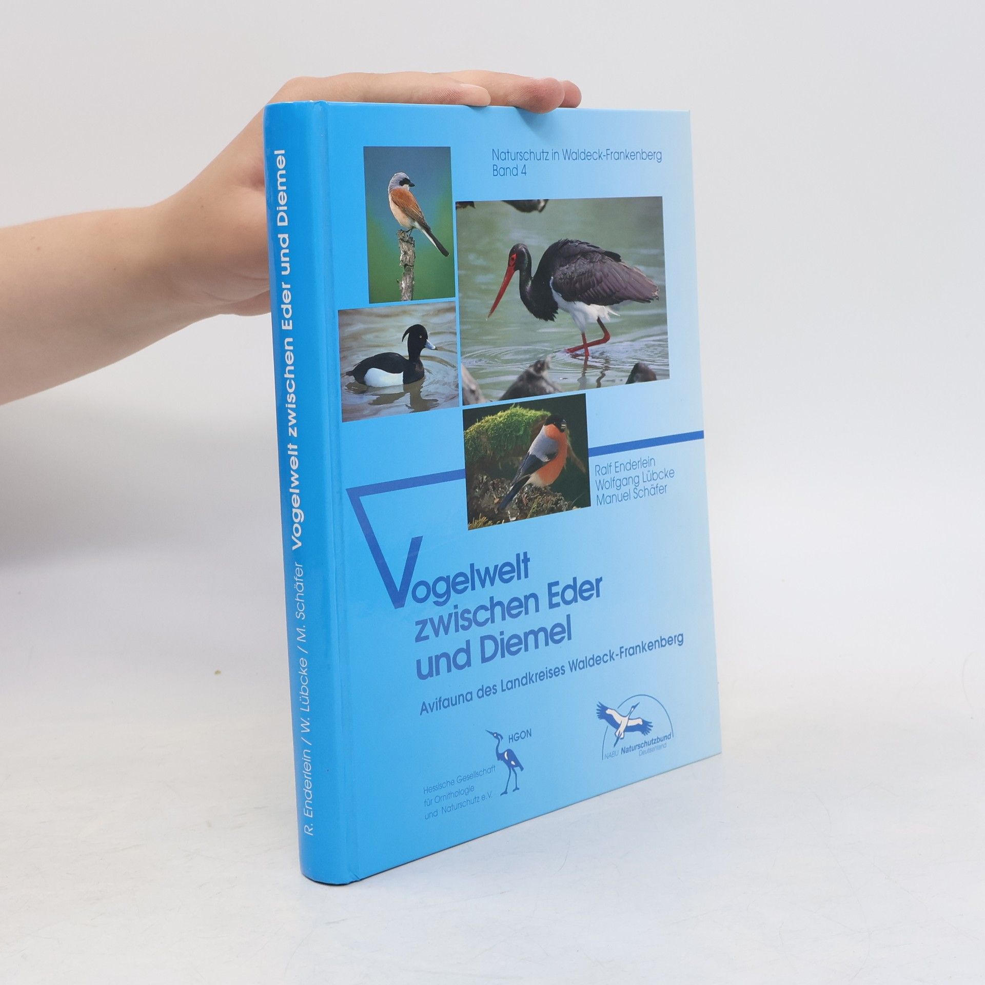Various authors Vogelwelt zwischen Eder und Diemel