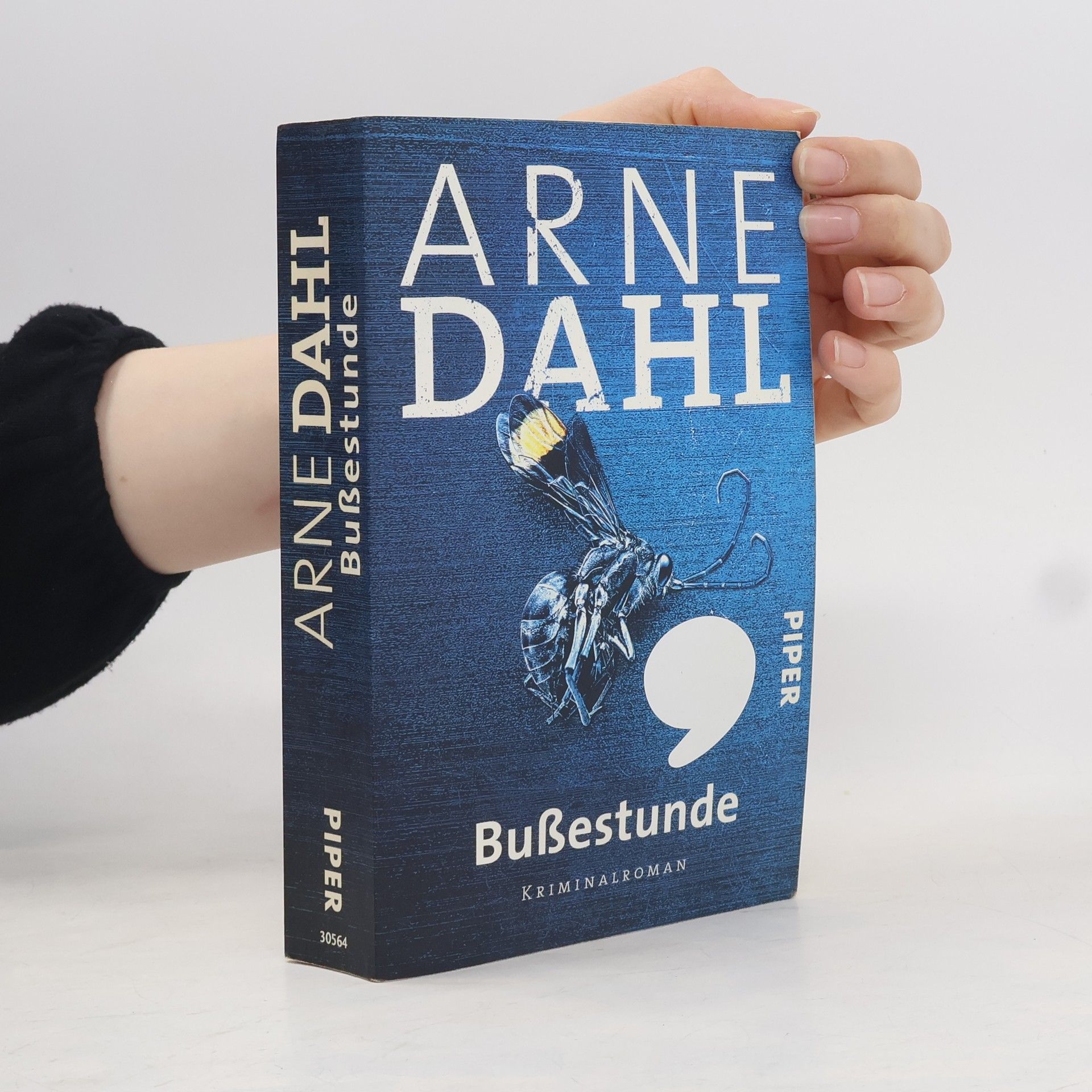 Arne Dahl Bußestunde
