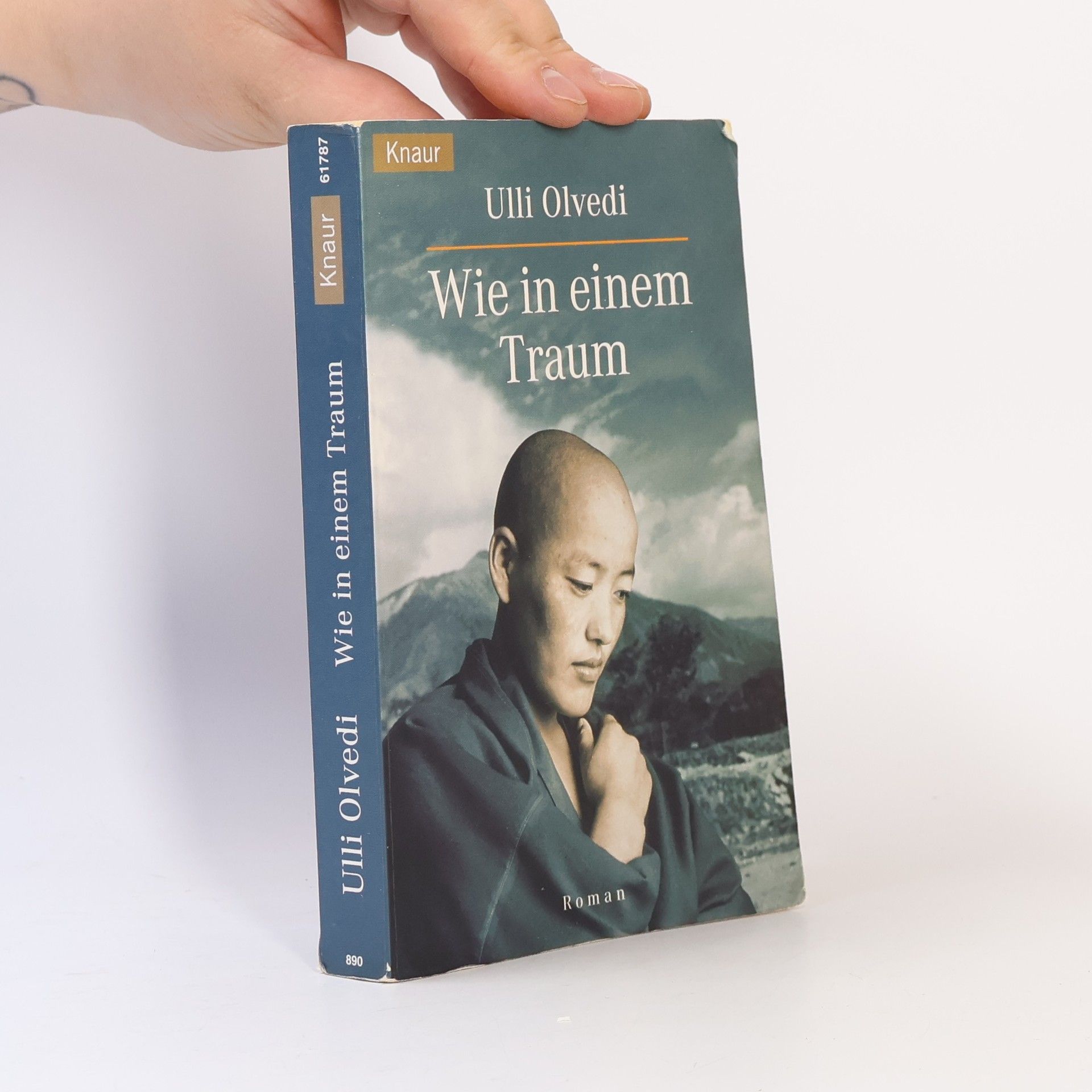 Ulli Olvedi Wie in einem Traum