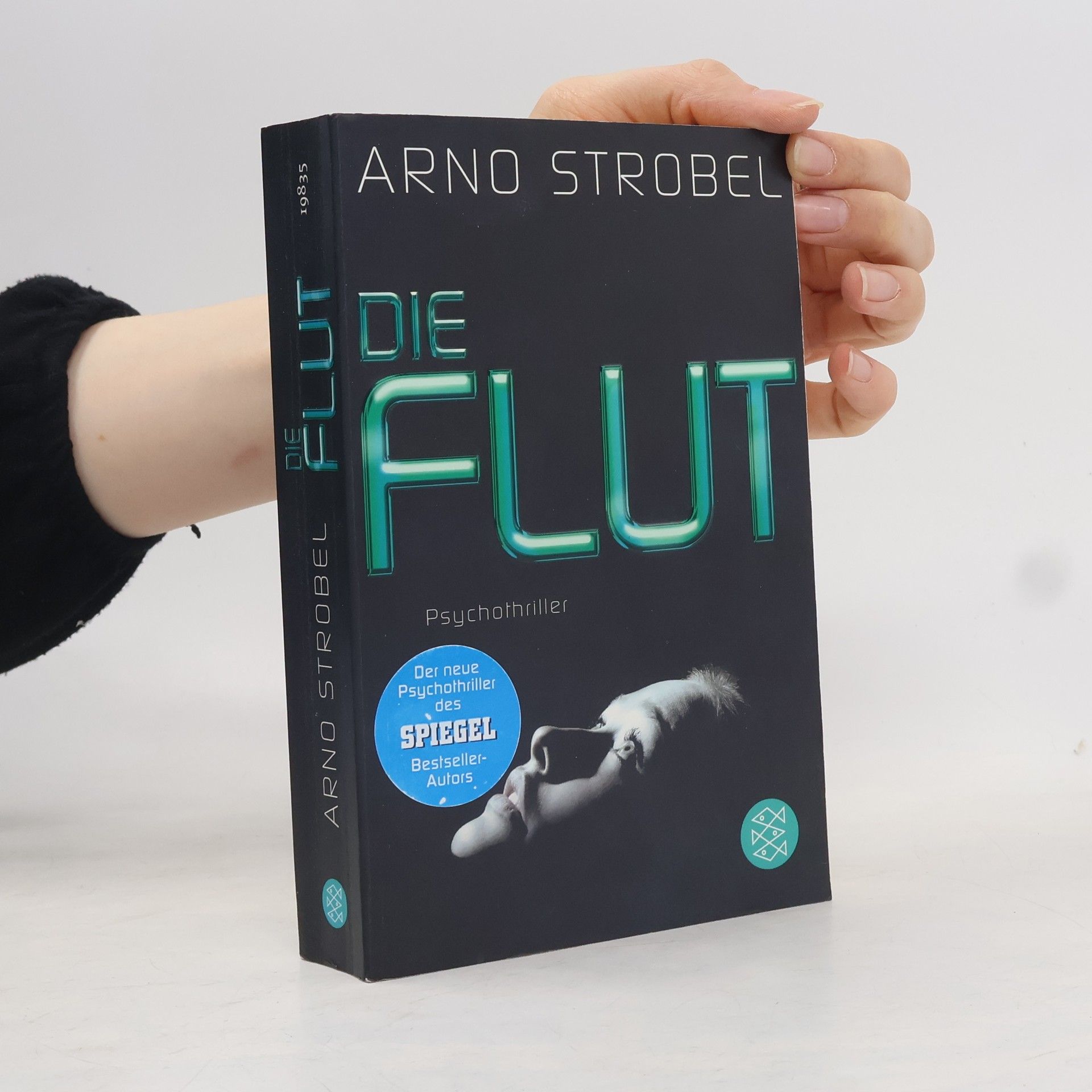 Arno Strobel Die Flut
