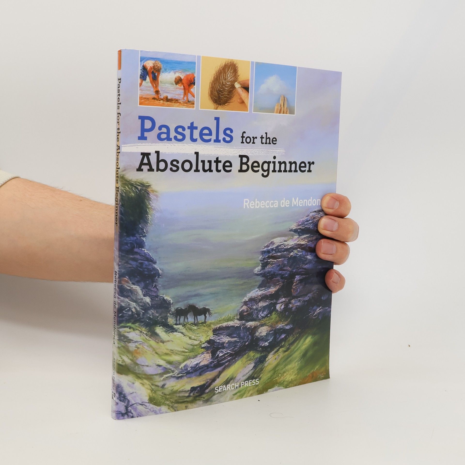 Rebecca De Mendonça Pastels for the Absolute Beginner